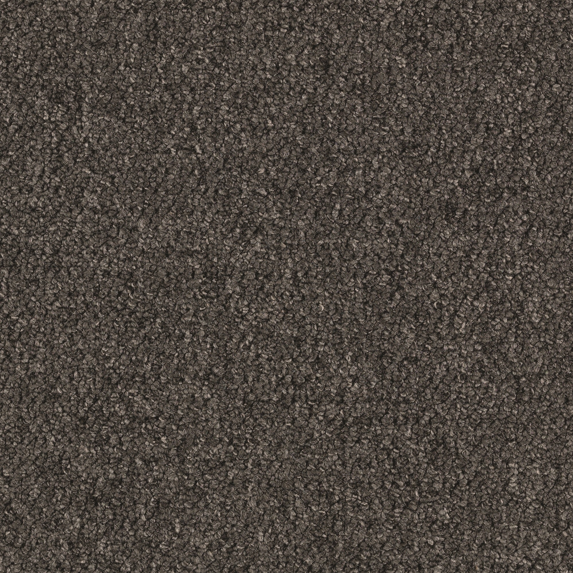  LC42-12-965 Home and Office Scholastic 26 Pavement Gray 26-oz sq yard Nylon Textured Indoor Carpet
