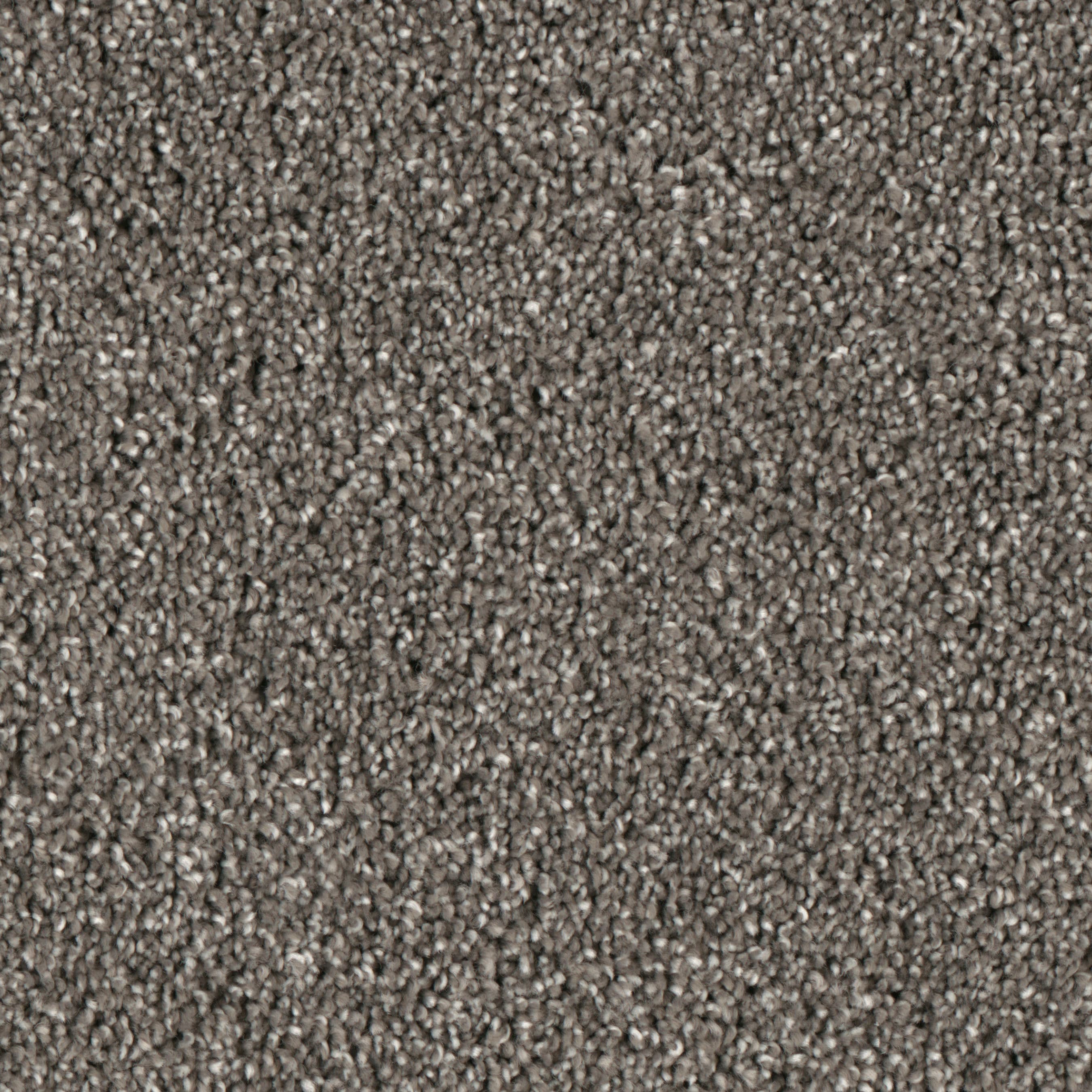 STAINMASTER S9242-956-1200-MO Grant Park Fountain Gray 42-oz sq yard Polyester Textured Indoor Carpet