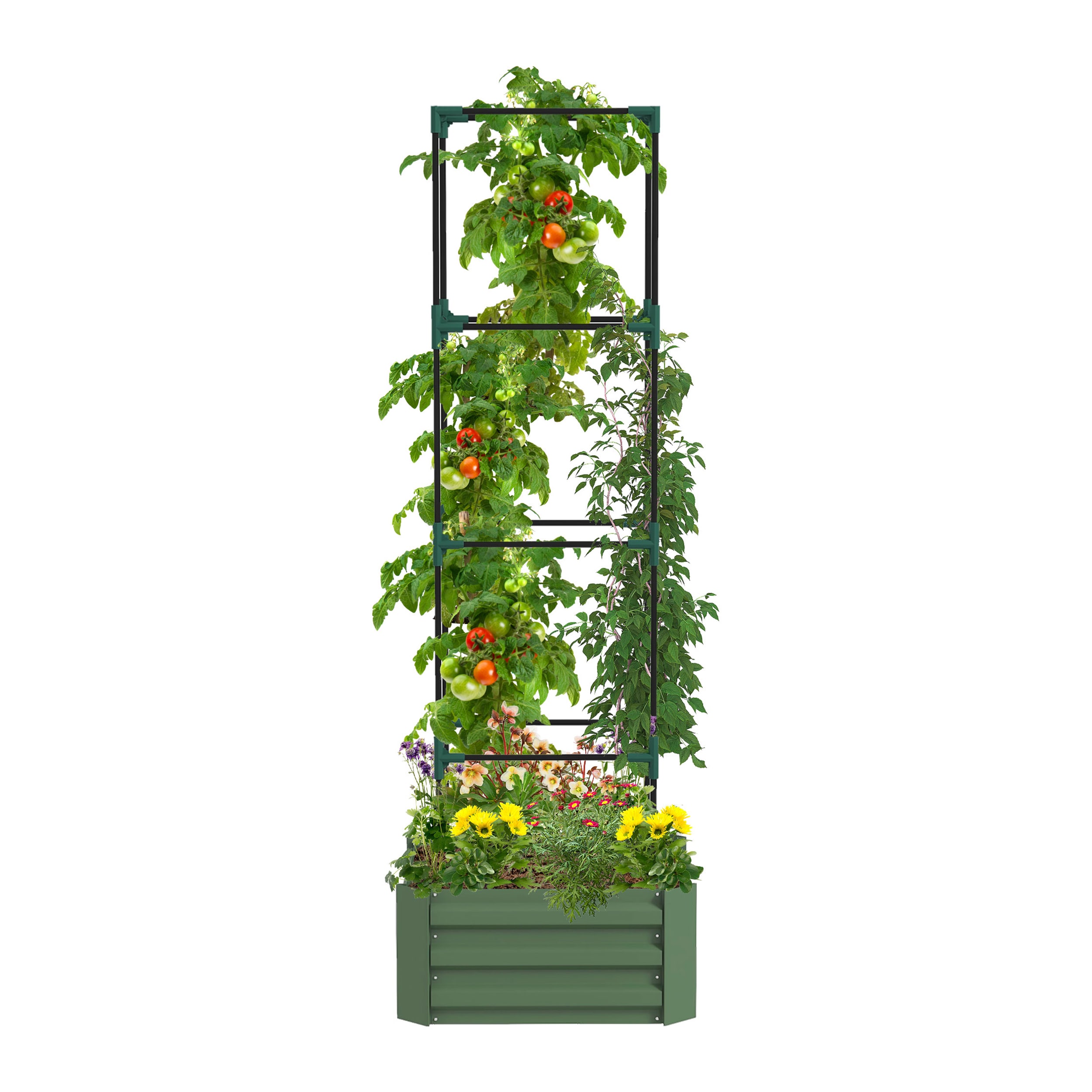 AHIOU HOME ZAAHG-P174424GB 3.6-cu ft 24-in W x 24-in L x 11.75-in H Elevated Green Galvanized Metal Raised Garden Bed