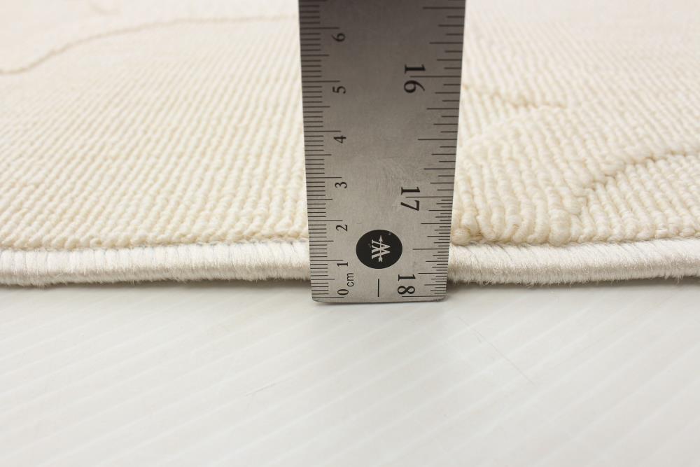 ECARPETGALLERY 351379 rugs - View #6