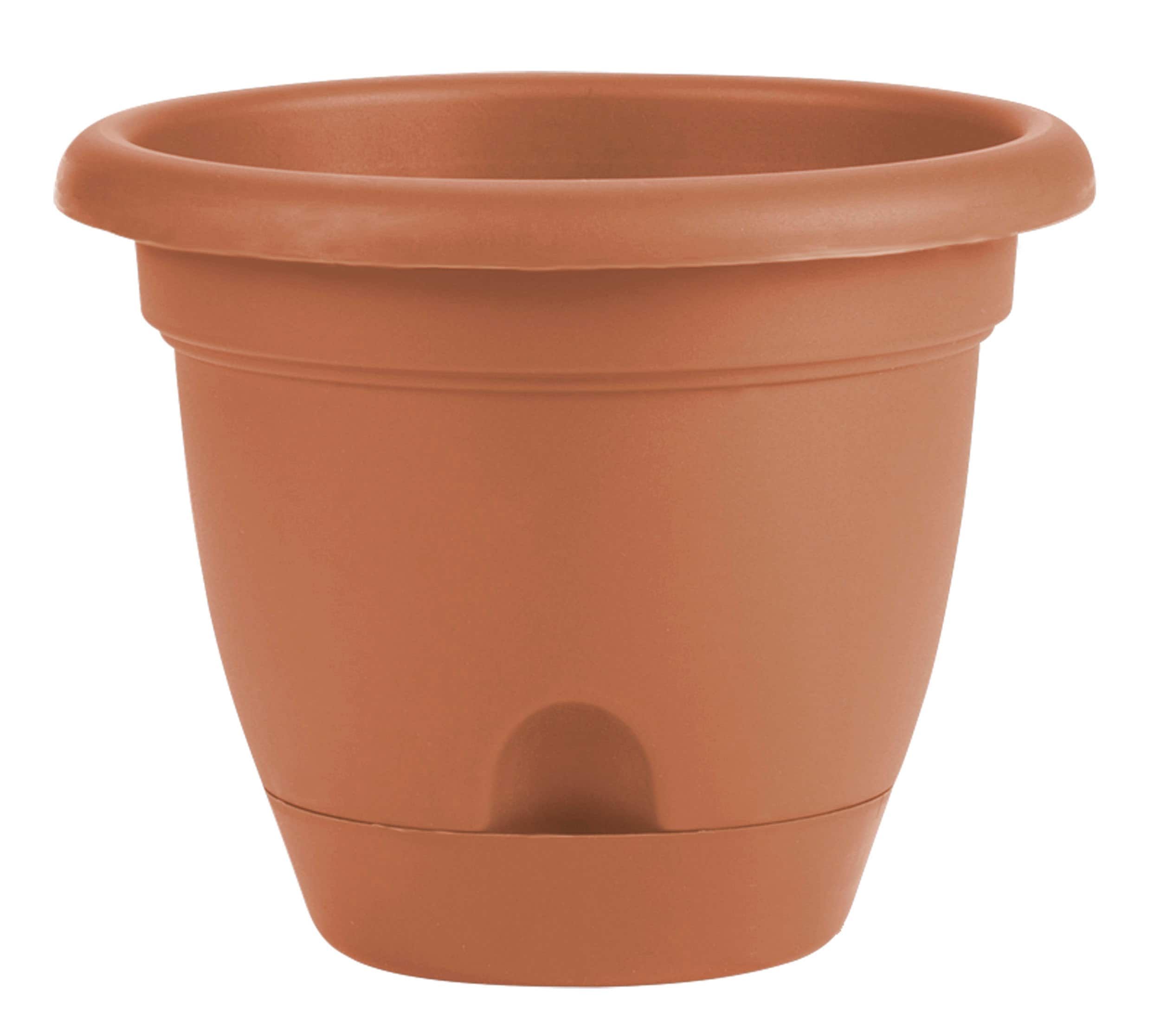 Bloem 11-in W x 8.75-in H Brown Plastic Traditional Indoor/Outdoor 