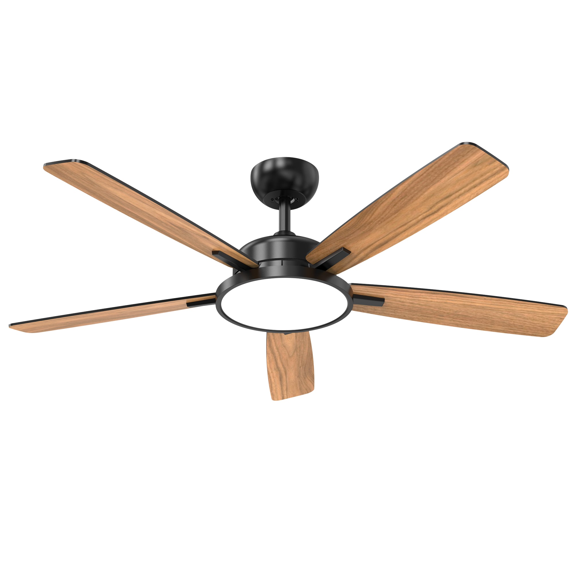 TALOYA TLY52-BK-5D-T5 Ceiling-Fans - View #9