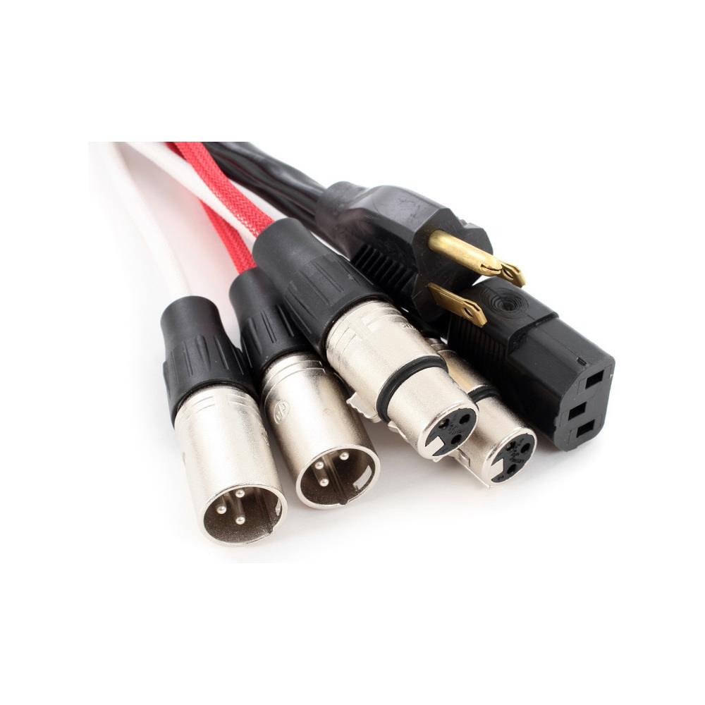  TCNCD300367 Pro Co Sound PRCO-EC6-25 Audio and Power Cable with Grey to IEC Power Channel and 2 XLR Female to XLR Male Audio Channels- 25 ft.