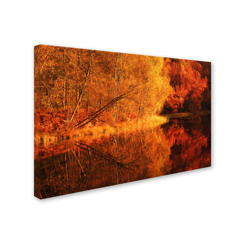 Trademark Fine Art PSL0408-C3047GG Wall-Art - View #2