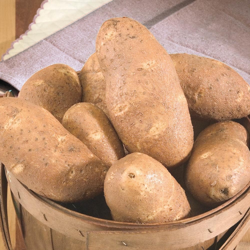 Potato Growing Bag - 3 Pack, Holland Bulb Farms