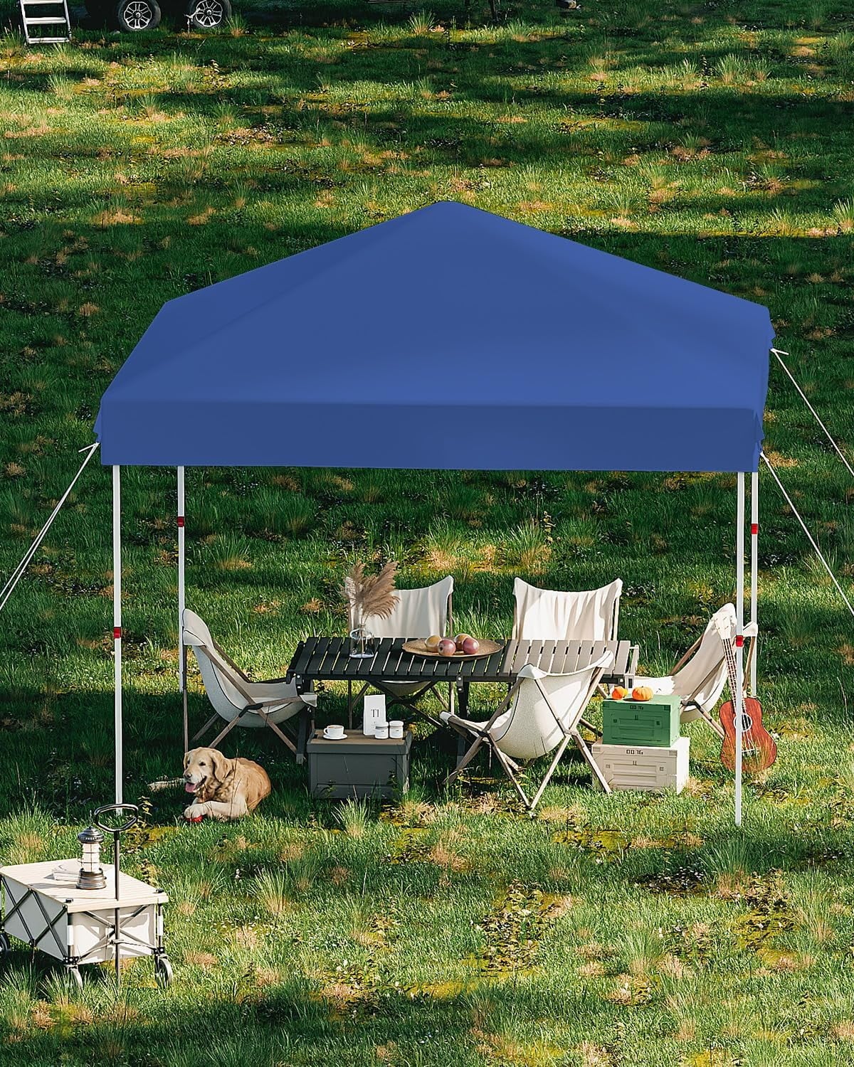 Garvee CJH-PHO-10SD3WFD Canopies-Sl - View #3
