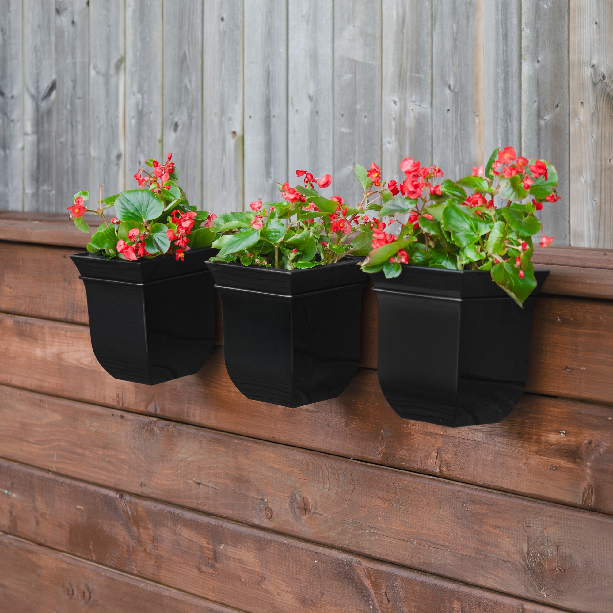 Mayne 3871-B Planter-Window-Box - View #3