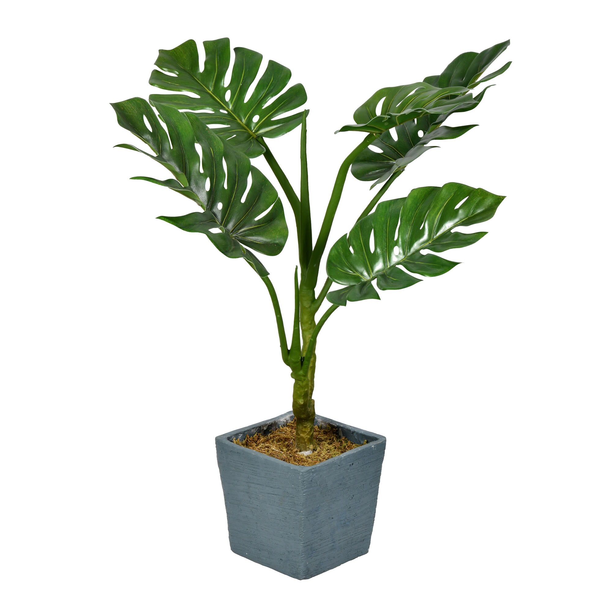 Vickerman FH193036 36-in Green Indoor Philo Artificial Plant