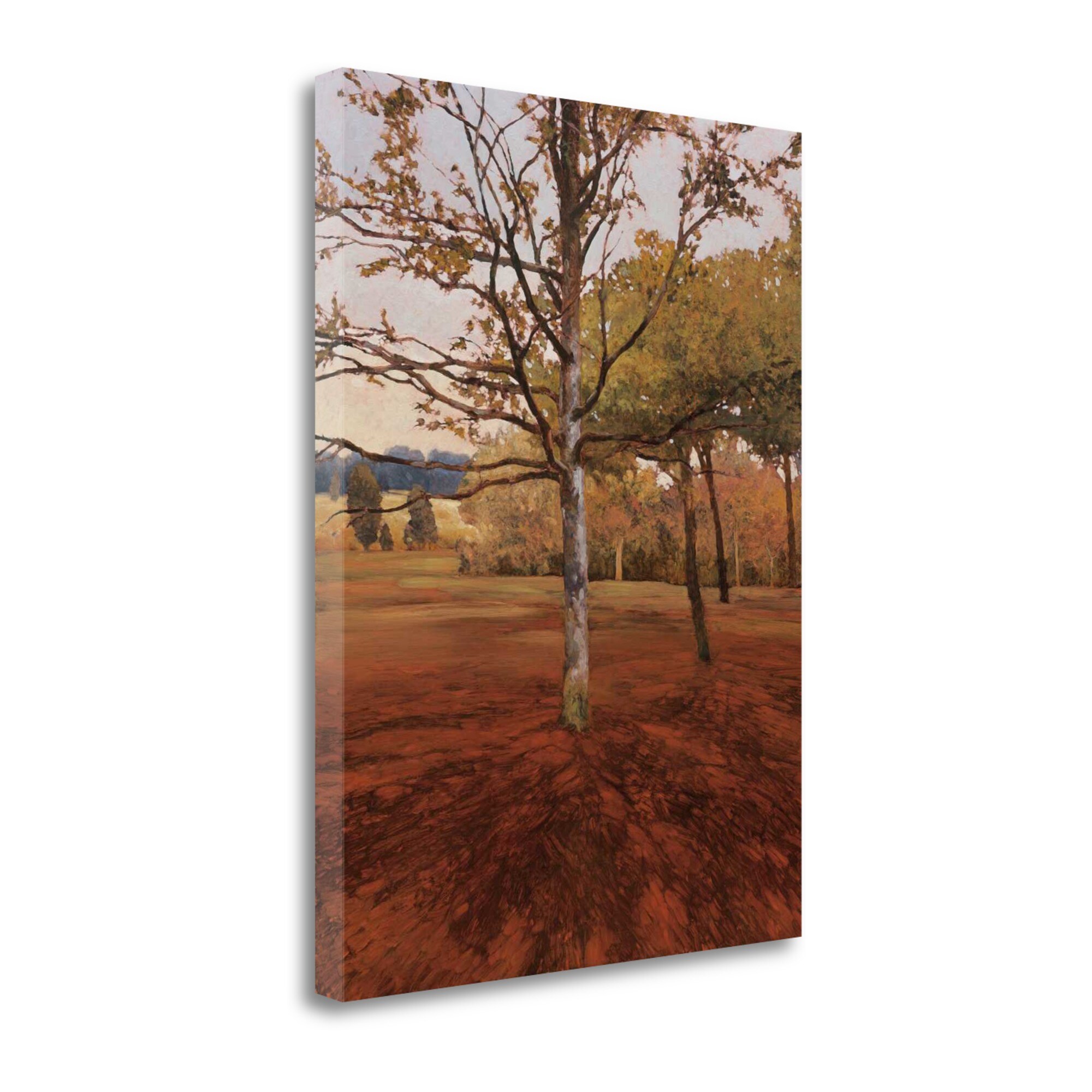 Tangletown Fine Art CALKP118-2533C Noix Kent Lovelace 33-in H x 25-in W Landscape Print on Canvas