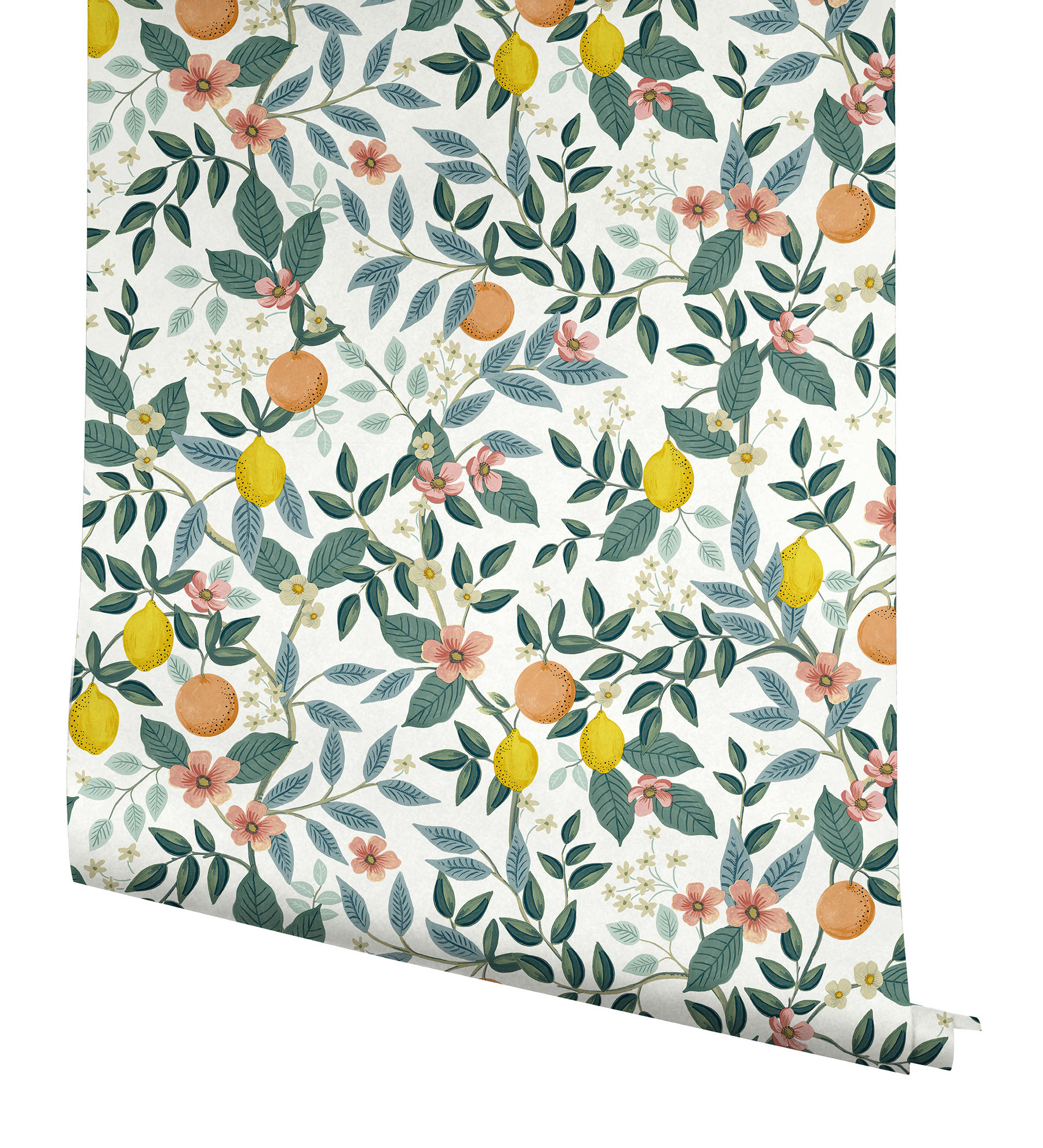 Rifle Paper PSW1479RL 45-Sq. Feet White Non-woven Ivy/Vines Self-adhesive Peel and Stick Wallpaper