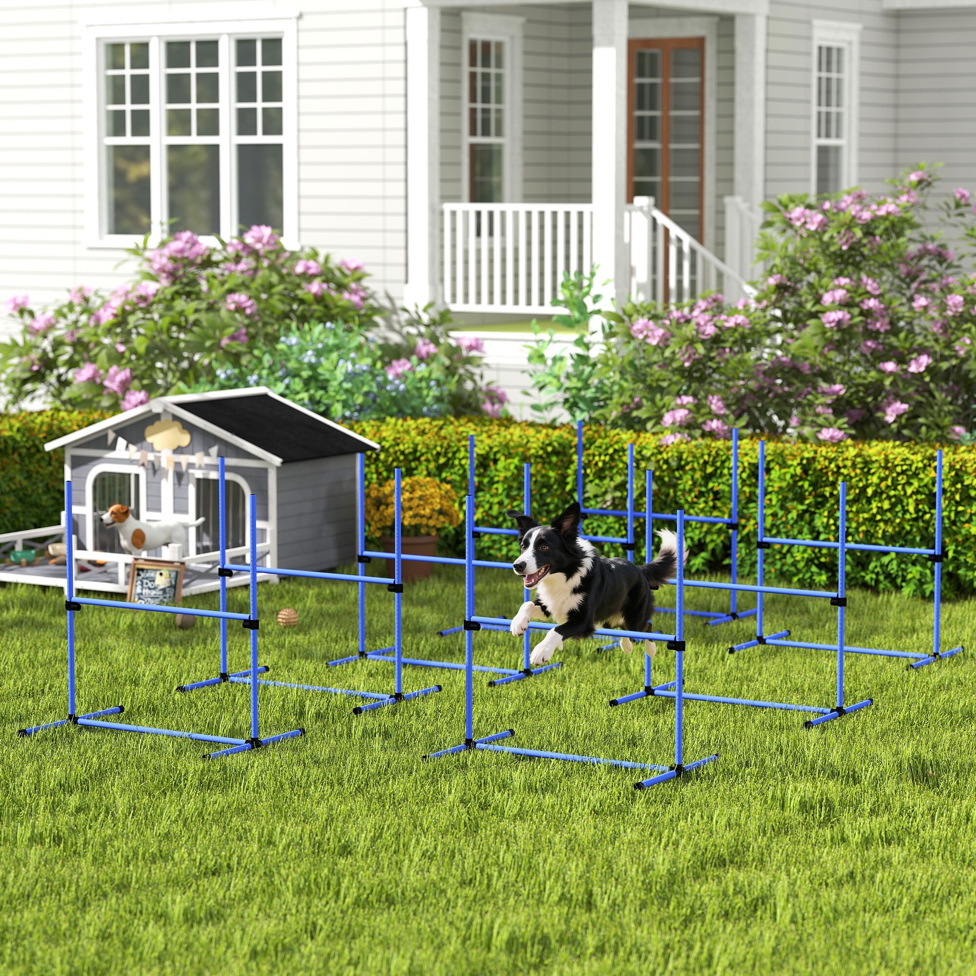 PawHut D07-018V02BU Dog-Park-Agility-Course-Kits - View #2