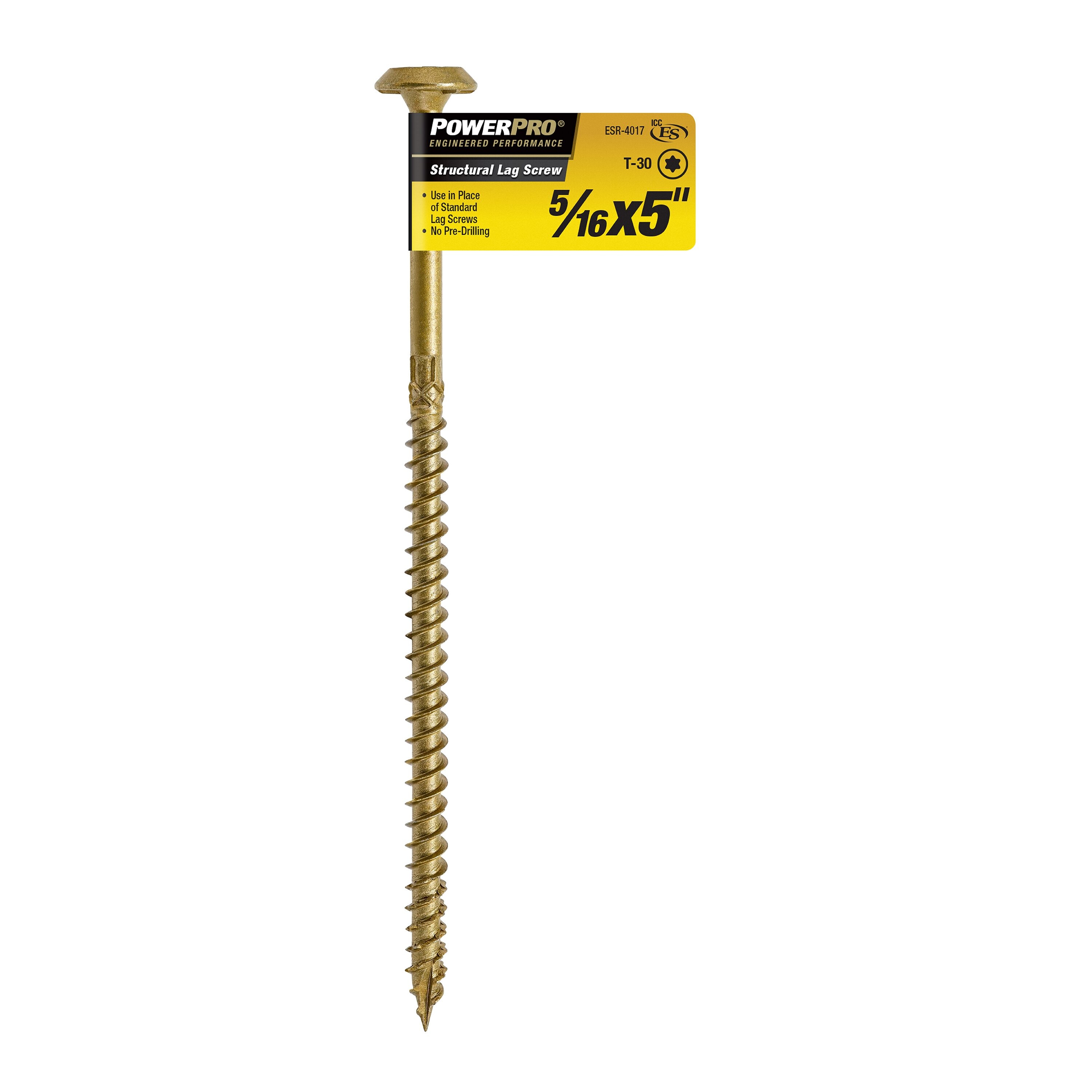 Power Pro 48924 5/16-in x 5-in Ceramic Ceramic Round -Head Exterior Lag screws