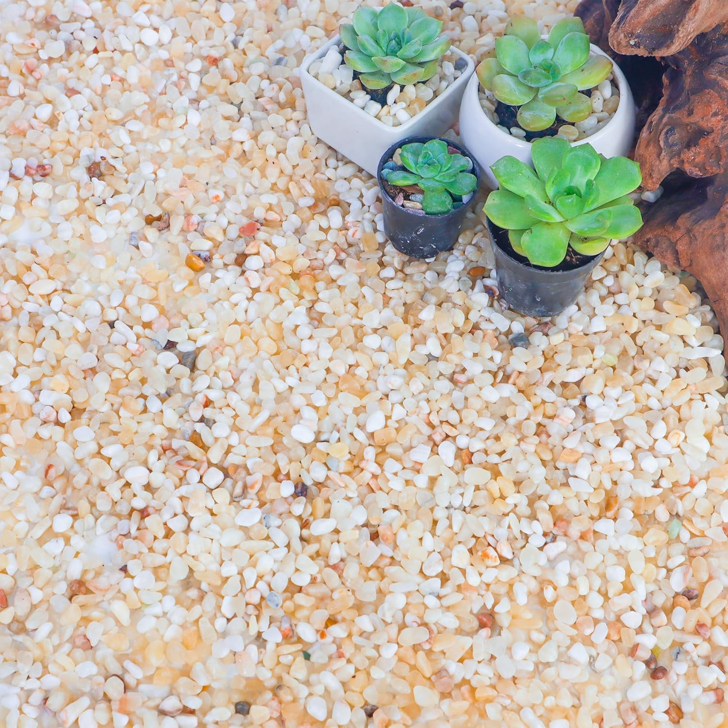 CJGQ - 18 lb Aquarium Gravel for Plants 0 2 Inch Natural Decorative River Rocks for Succulent and...