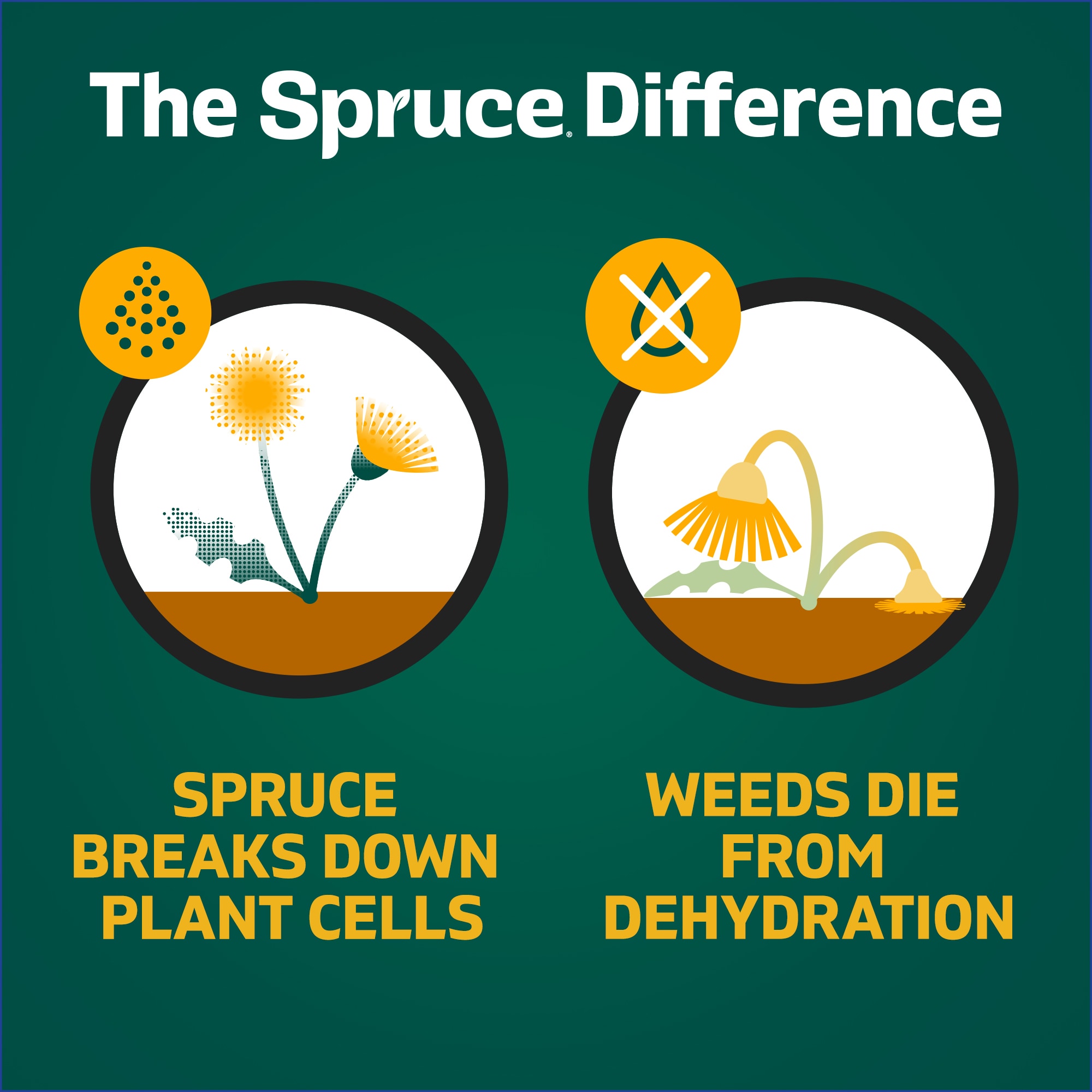 Spruce 1012130000 Weed-Killers - View #6