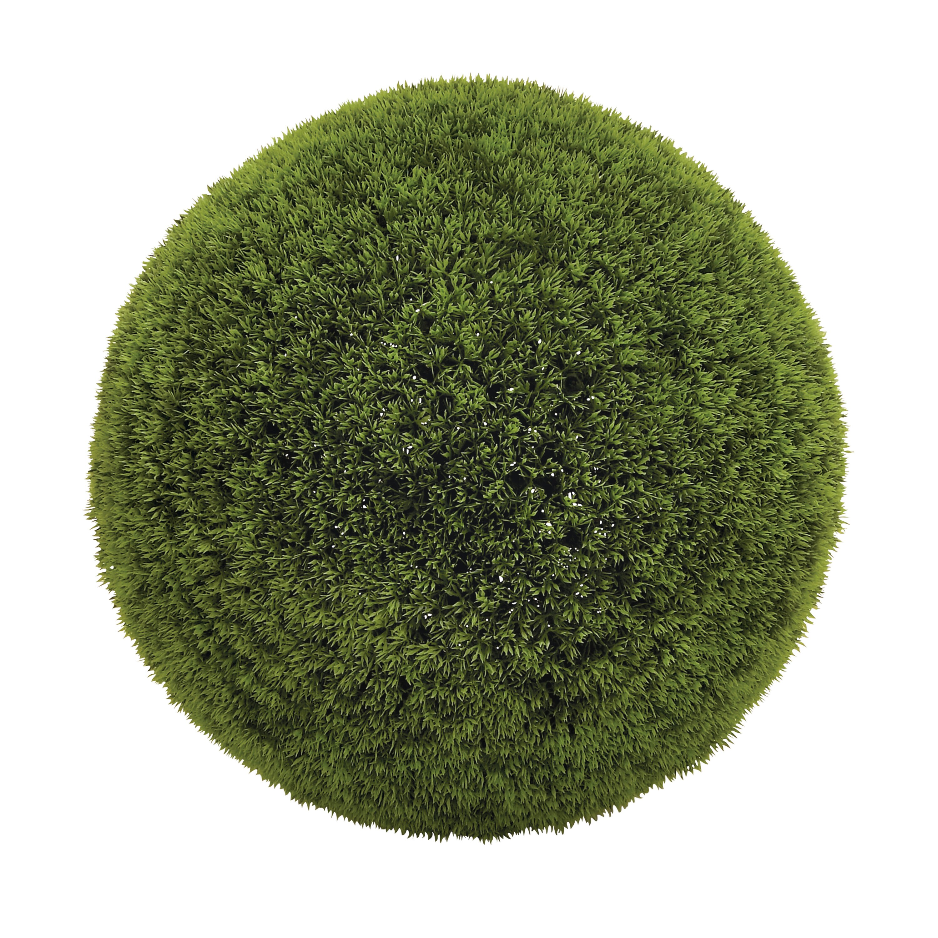 Grayson Lane 50853 Artificial-Plants-Trees - View #5