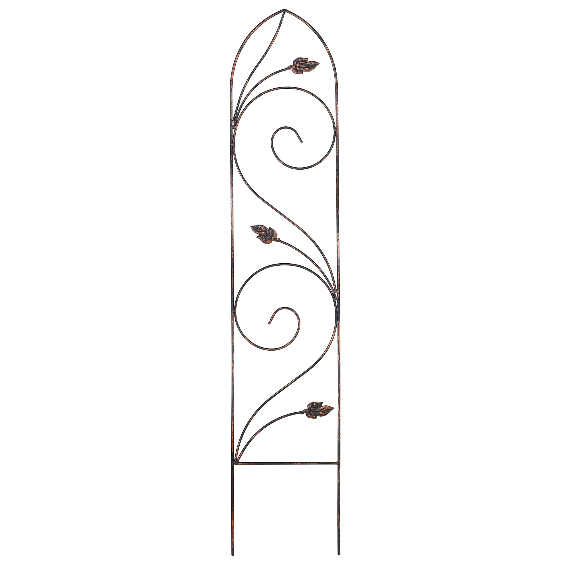 Arcadia Garden Products TR04 Autumn Leaf 10-Inches W x 48-Inches H Black Iron Traditional Garden Trellis For Climbing Plants