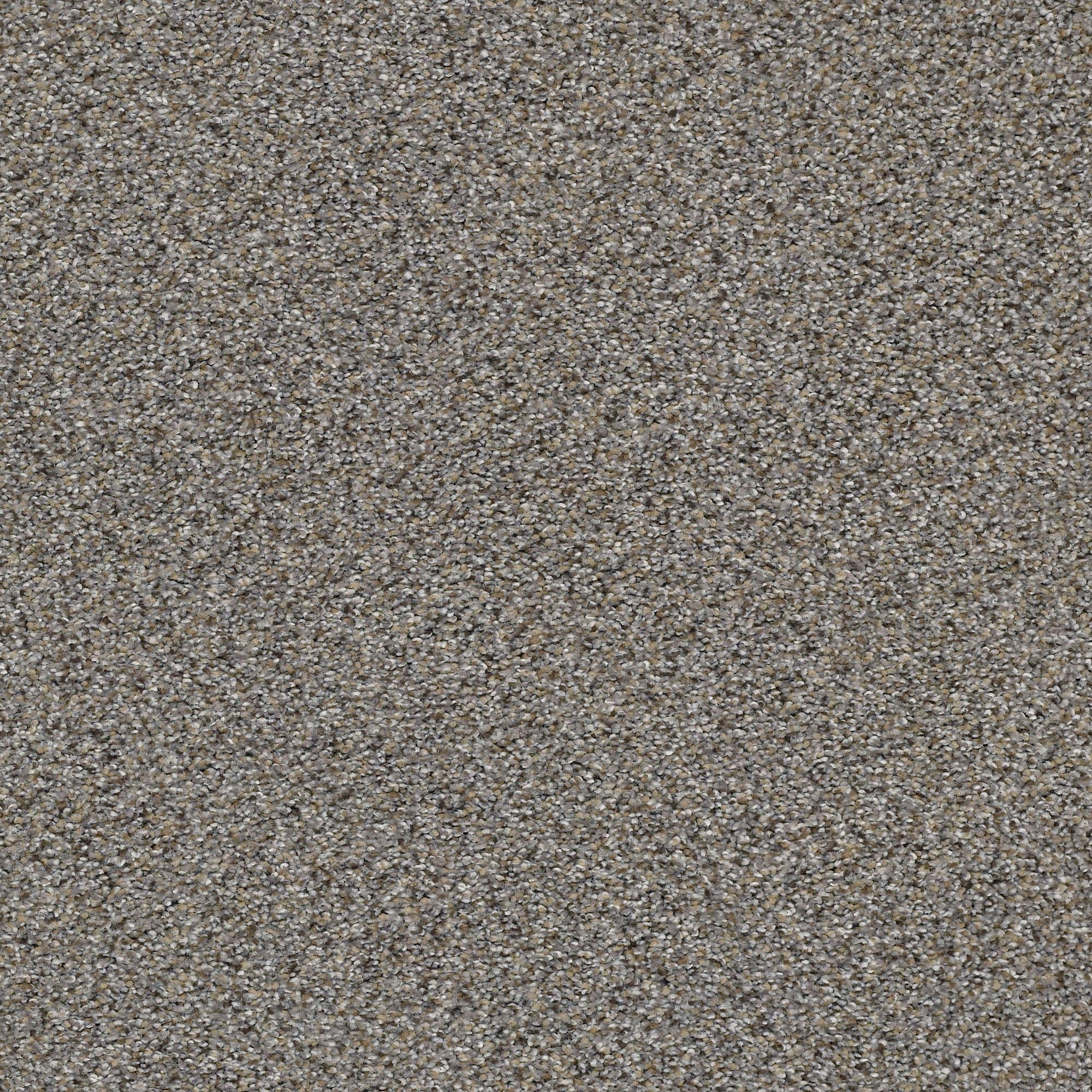 STAINMASTER (Sample) Very Dapper III Antique Pin Gray 57.5-oz sq yard ...