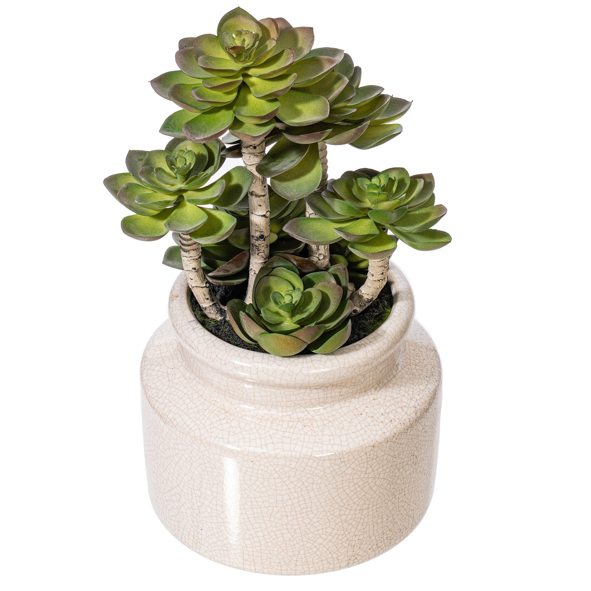 Vickerman FE181701 Artificial-Plants-Trees - View #3