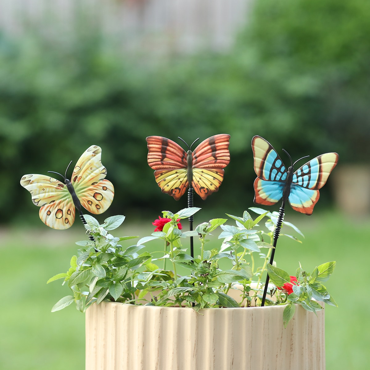 Centerpieces Moving - battery- Morpho Butterfly