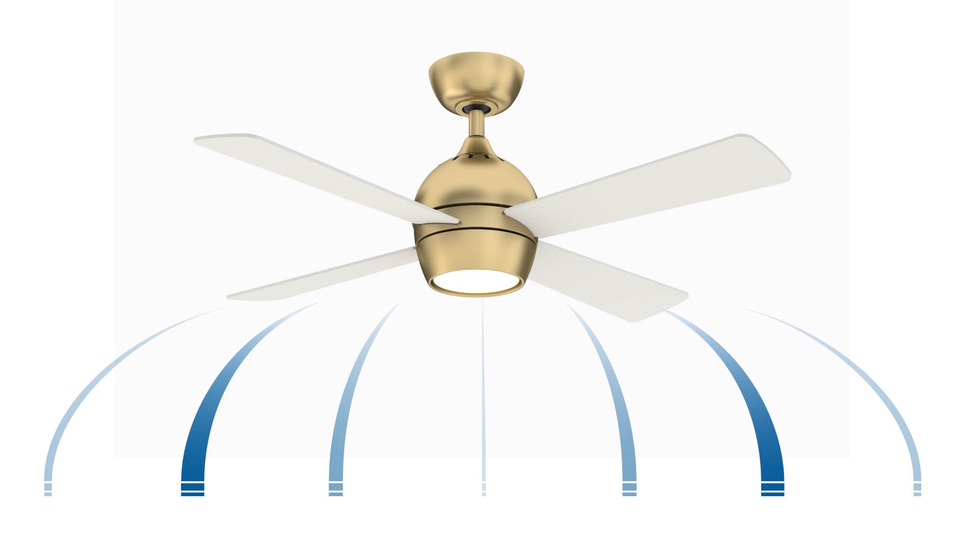 Fanimation FP7644BS Ceiling-Fans - View #14