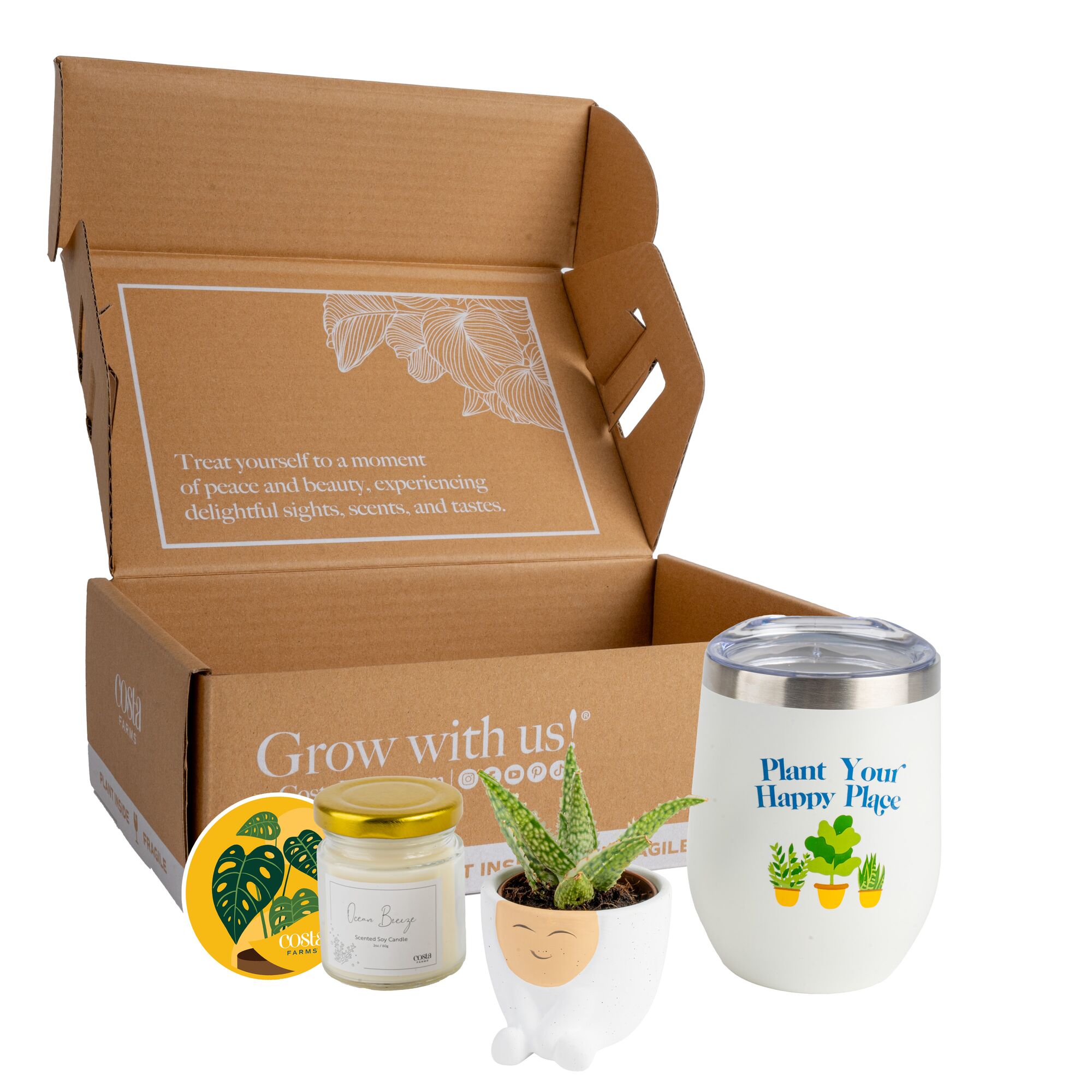 Costa Farms 1 -Pack Gift Box Bundle, Succulent, Scented Candle and Tumbler in 2 -in Planter