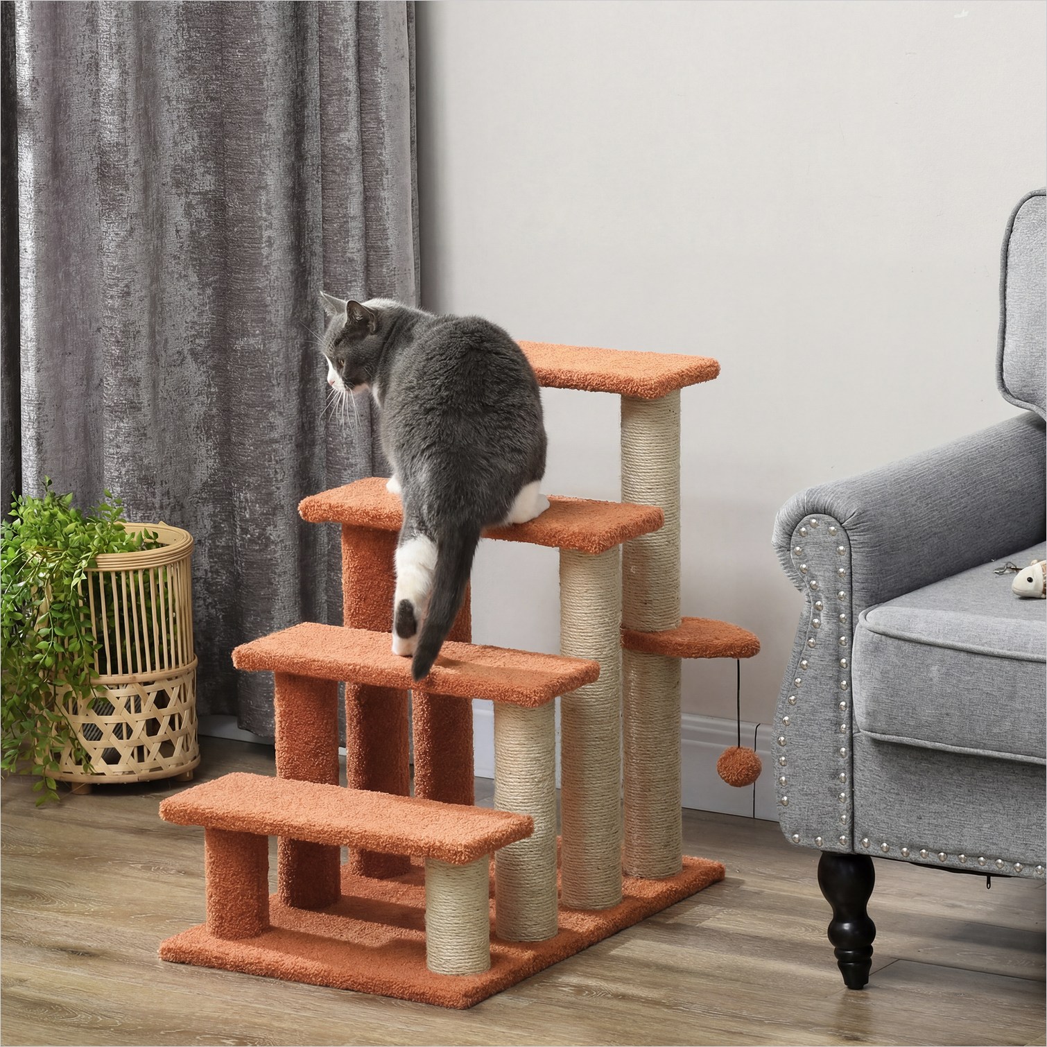 BBabe P36TU2CZHNKY Pet-Steps - View #5
