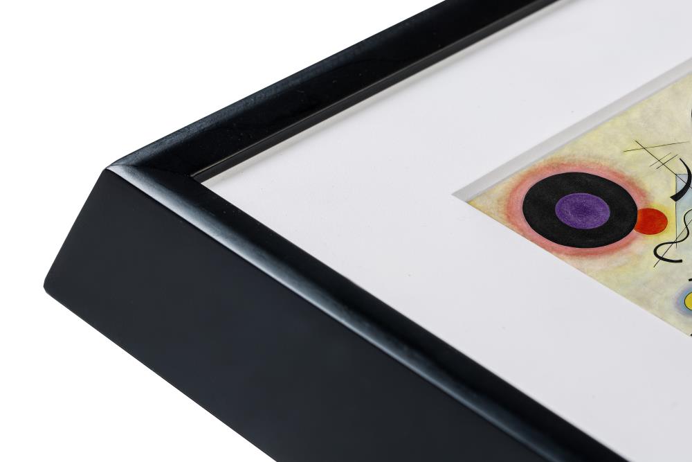 NETGEAR MC227BL-100PAS Picture-Frames - View #5