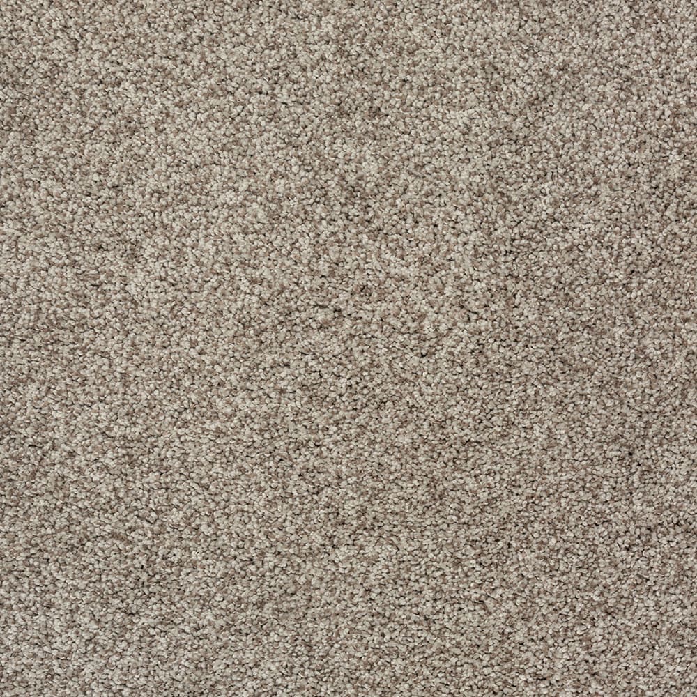 STAINMASTER SS003-L008-0808 (Sample) Comfort Walk II Cheroot Brown 55-oz sq yard Polyester Textured Indoor Carpet