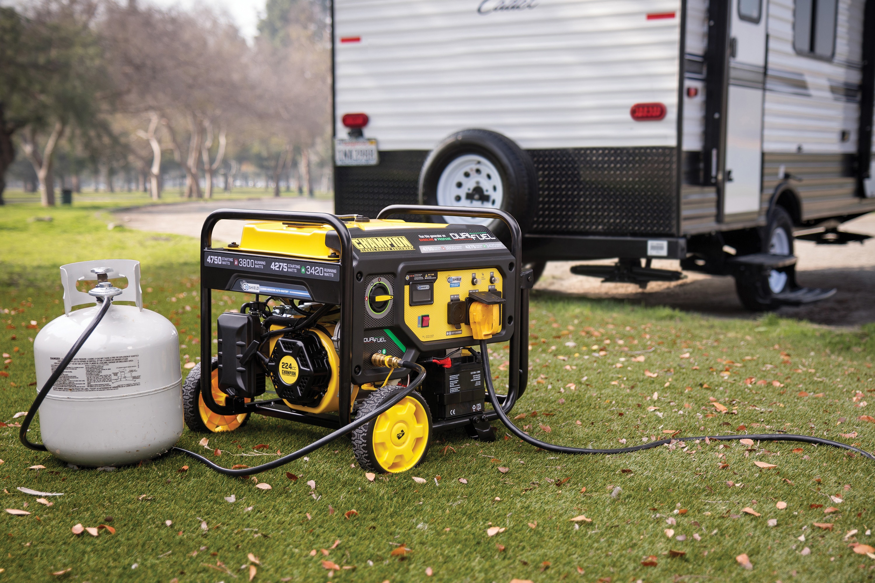 Champion Power Equipment 201393 Portable-Generators - View #10
