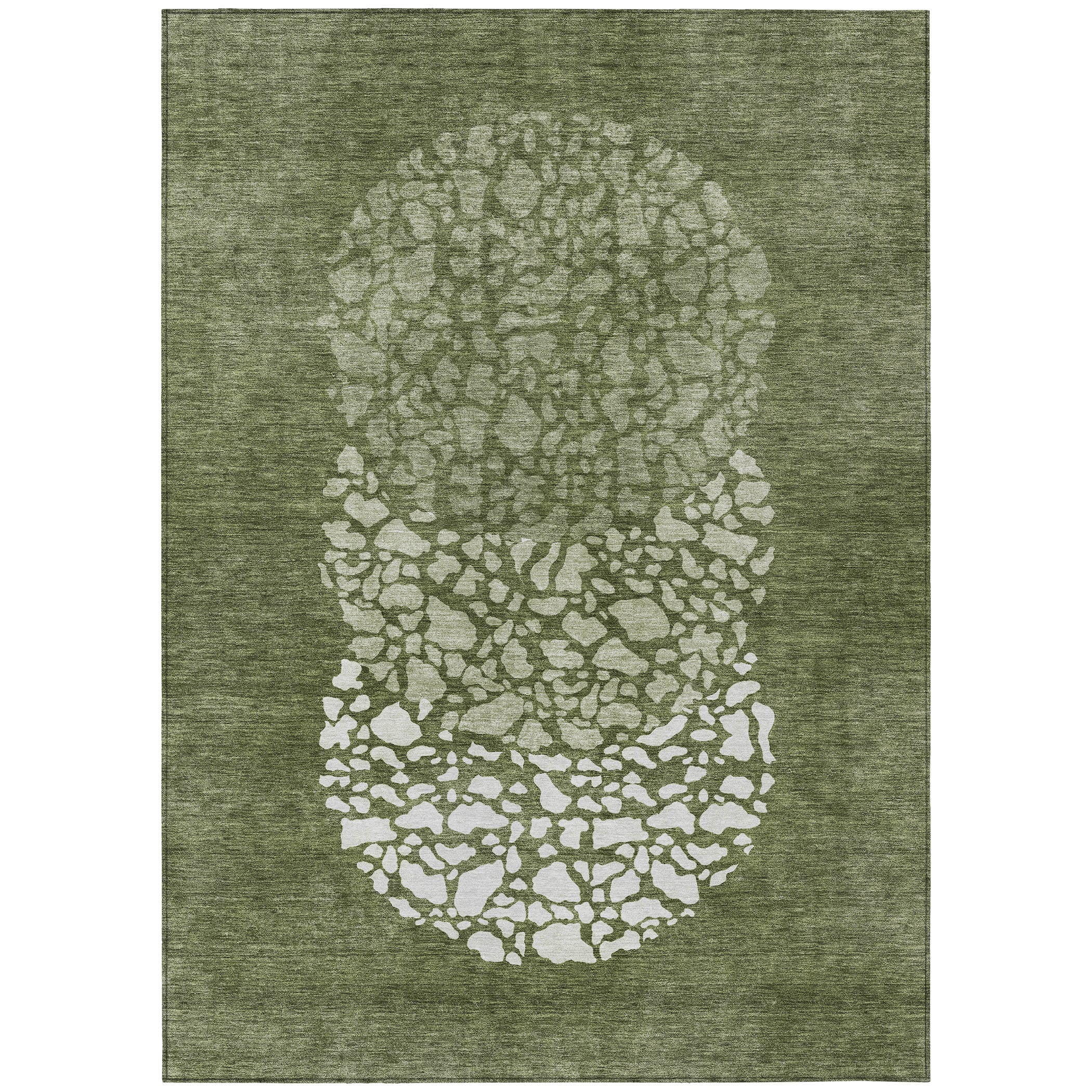 Addison Rugs ACN643OL5X8 rugs - View #2