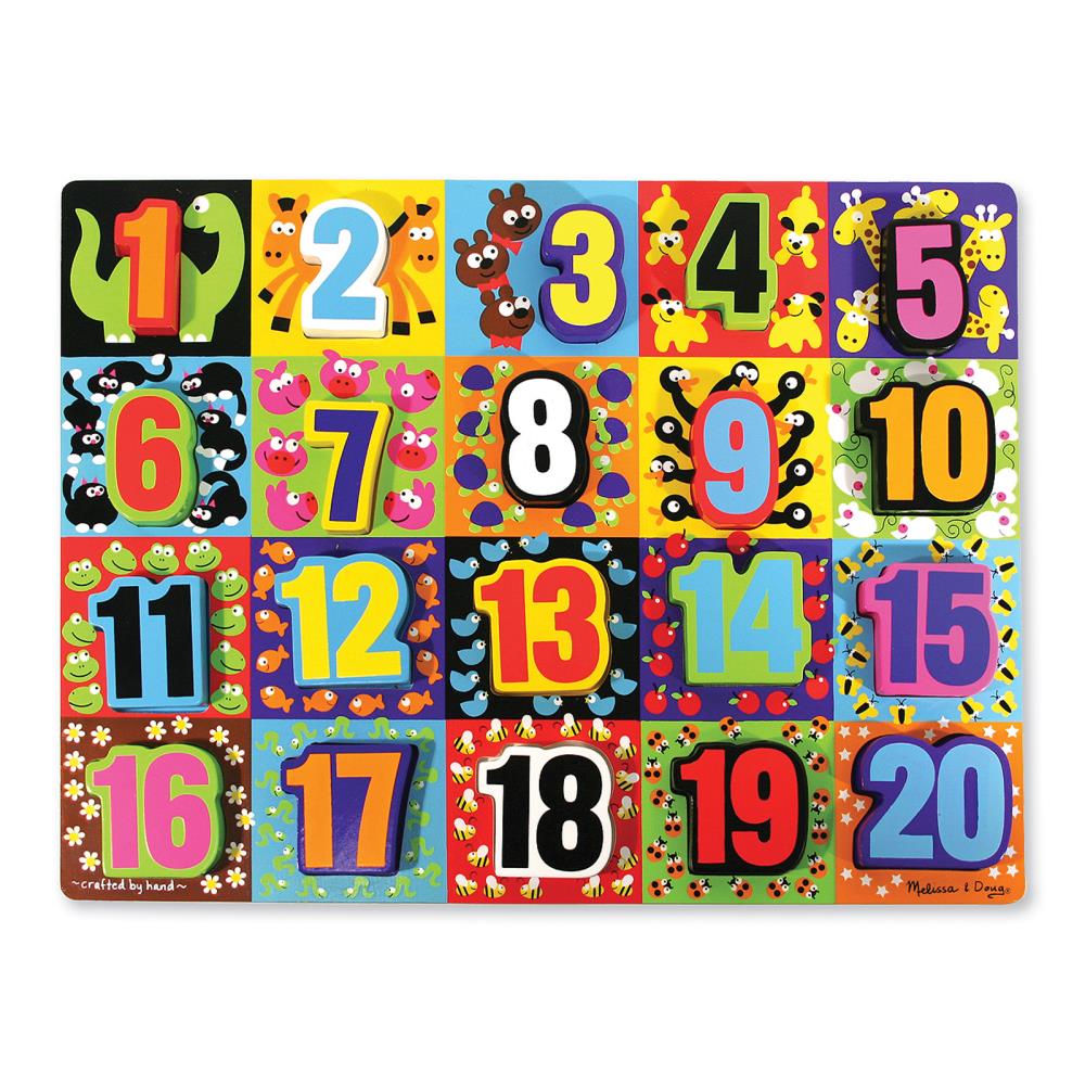 20-Piece Educational Peg Puzzle at Lowes.com