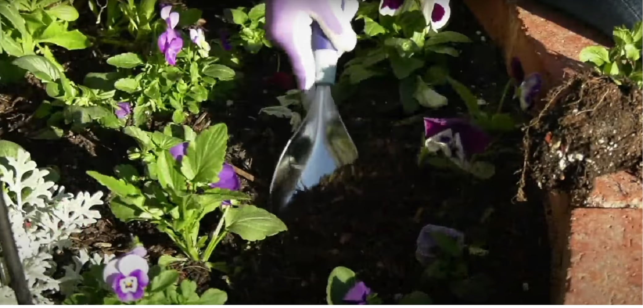 Ultimate Innovations HISCBD-ORANGE Speciality-Garden-Hand-Tools - View #7