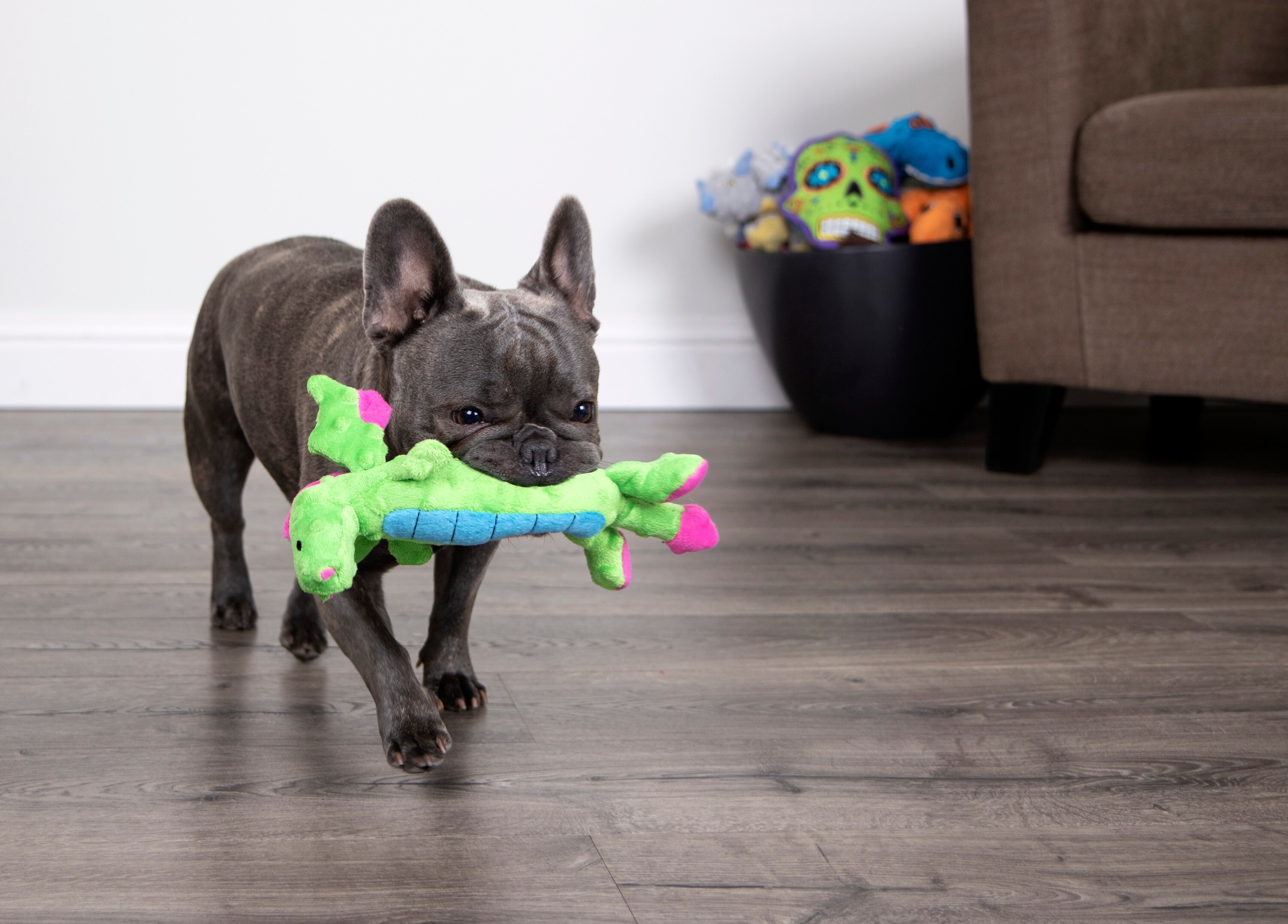 goDog 70299-98997-024 Dog-Toys - View #3