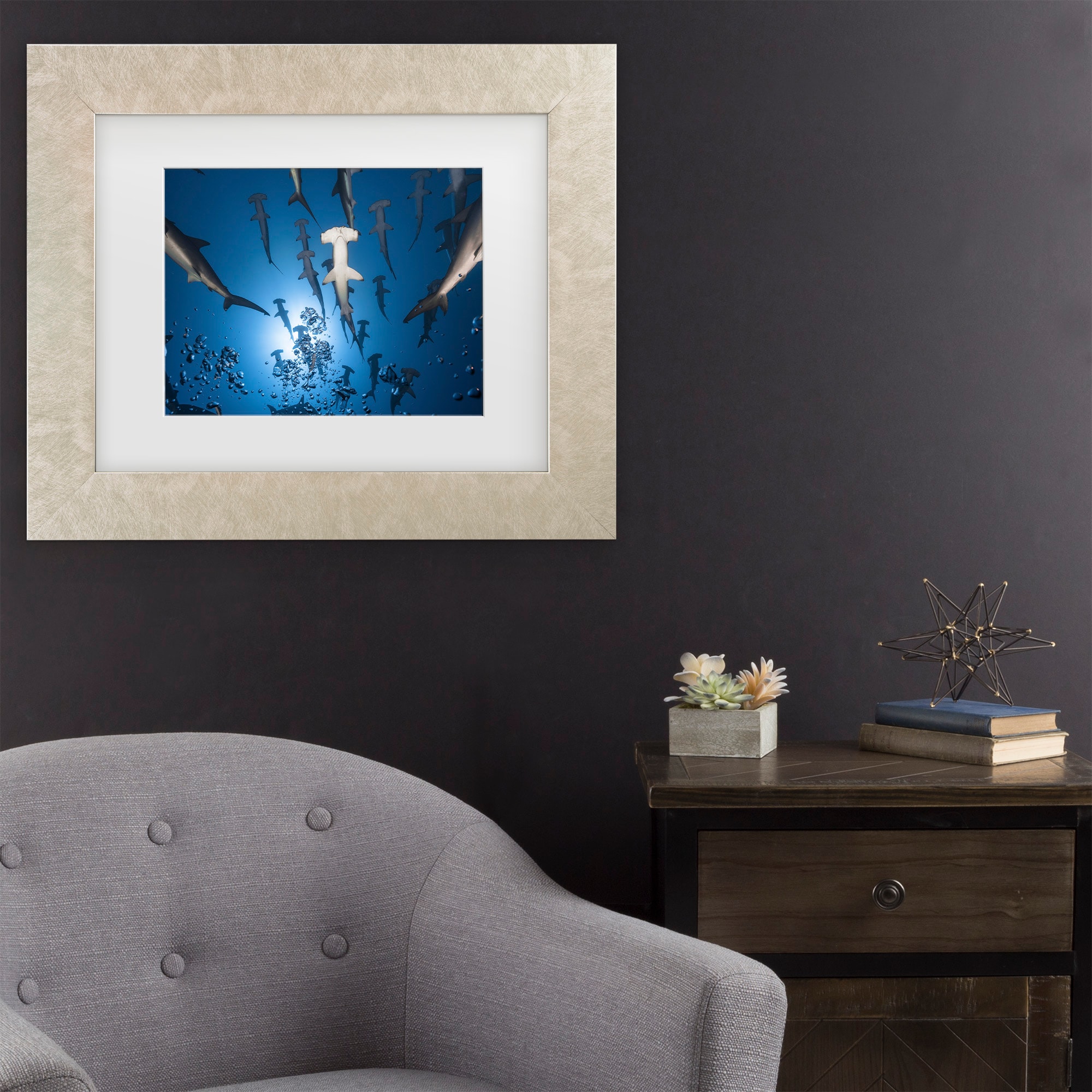 Trademark Fine Art 1X10907-C1620MF Hammerhead Shark Barathieu Gabriel Champagne Frame Wood Framed 16-Inches H x 20-Inches W Animals Canvas Print