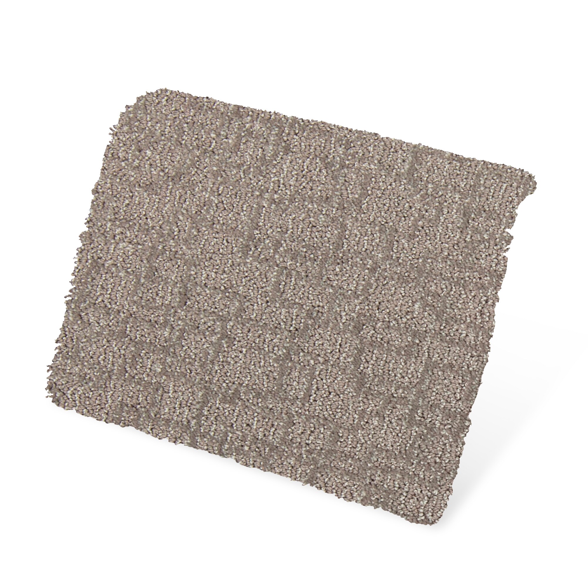 STAINMASTER PetProtect SS054-L006-S0808 Carpet-Samples - View #3