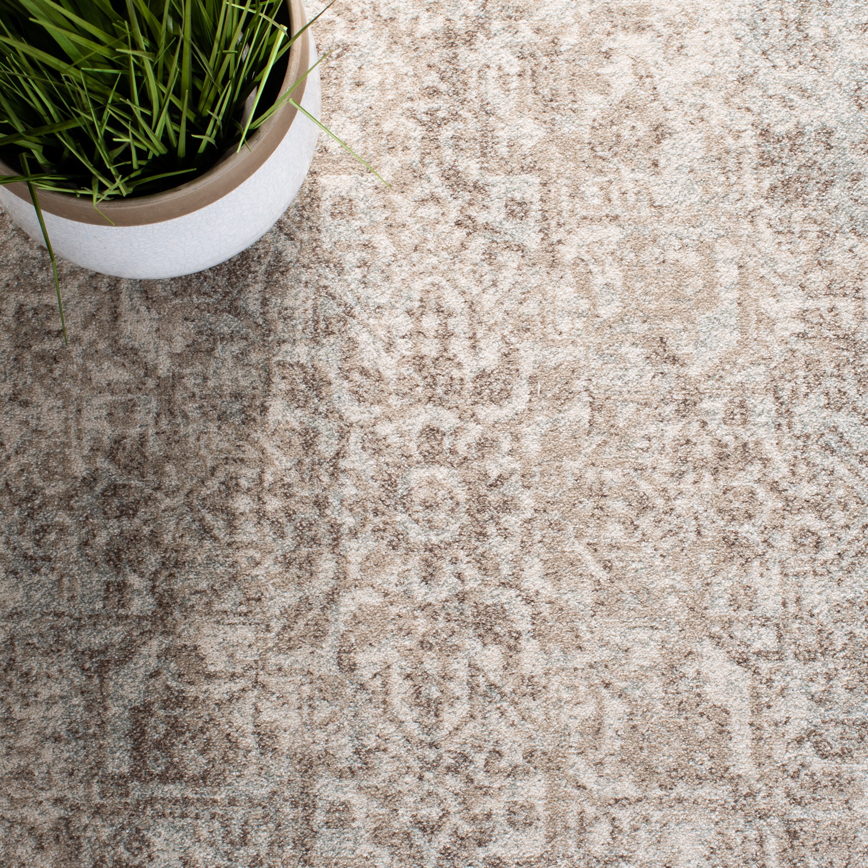 Safavieh EVK256E-3 rugs - View #7