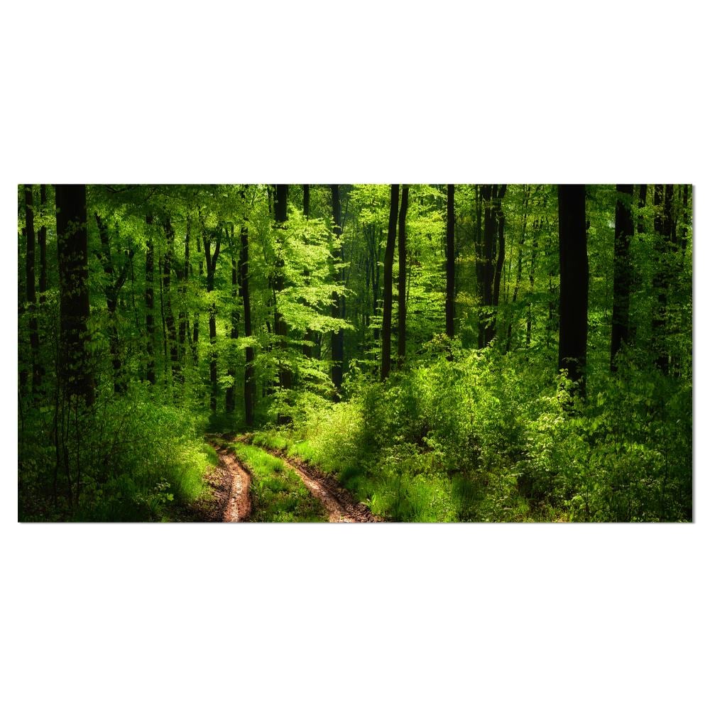 Designart PT11788-60-28 28-Inches H x 60-Inches W Landscape Canvas Print