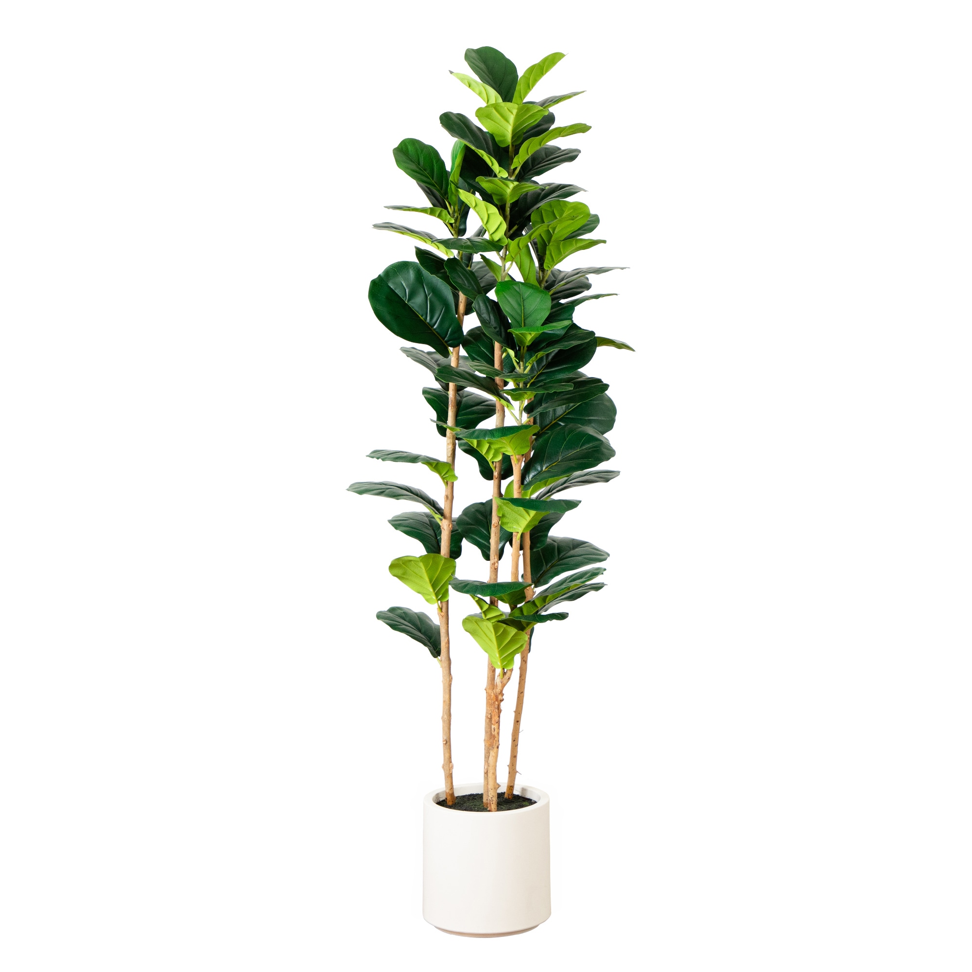 Nearly Natural T4776 72-in Green Indoor Floor Fiddle Leaf Artificial tree