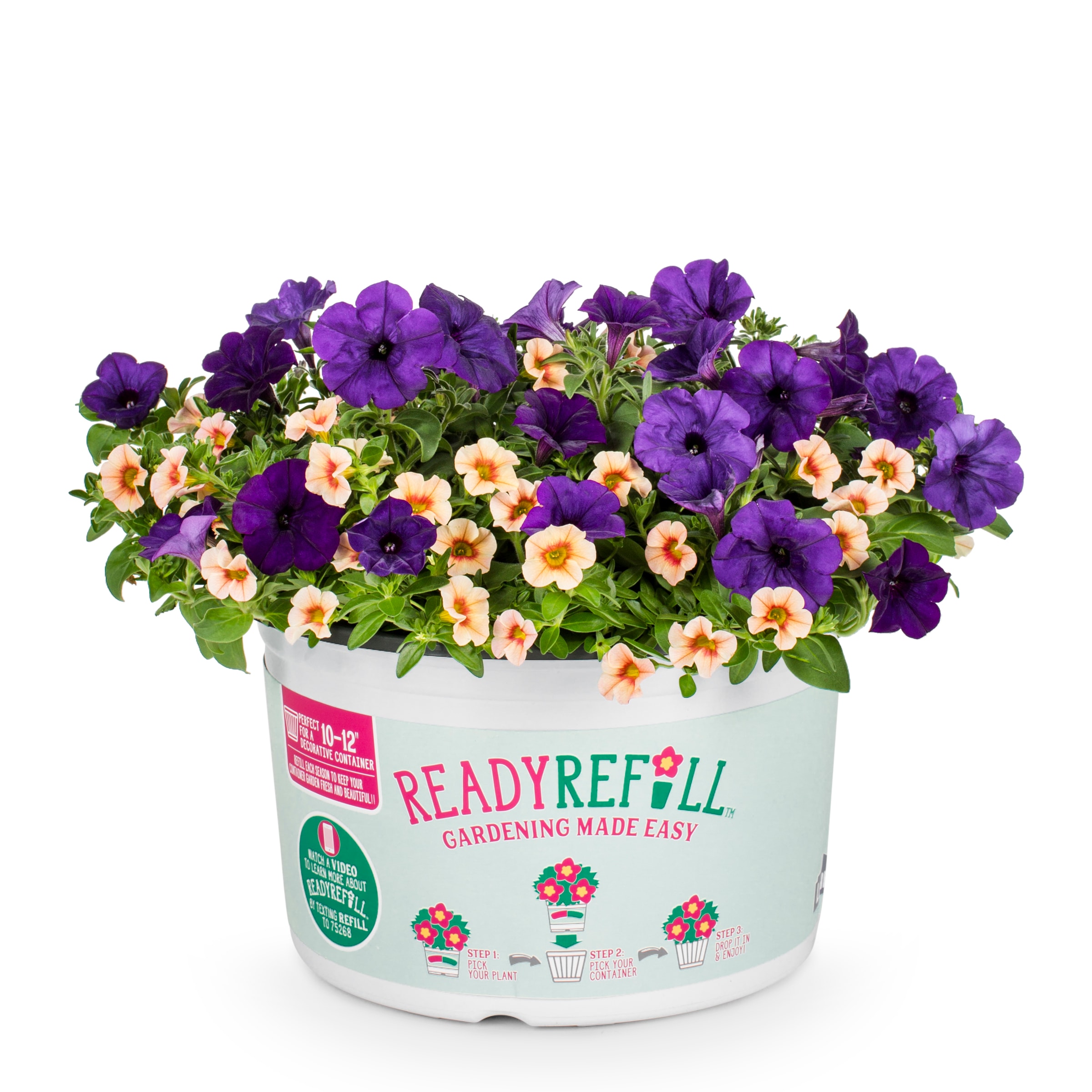 Metrolina Greenhouses 79594 Multicolor Calibrachoa/Petunia in 1.5-Gallon Plantable Container