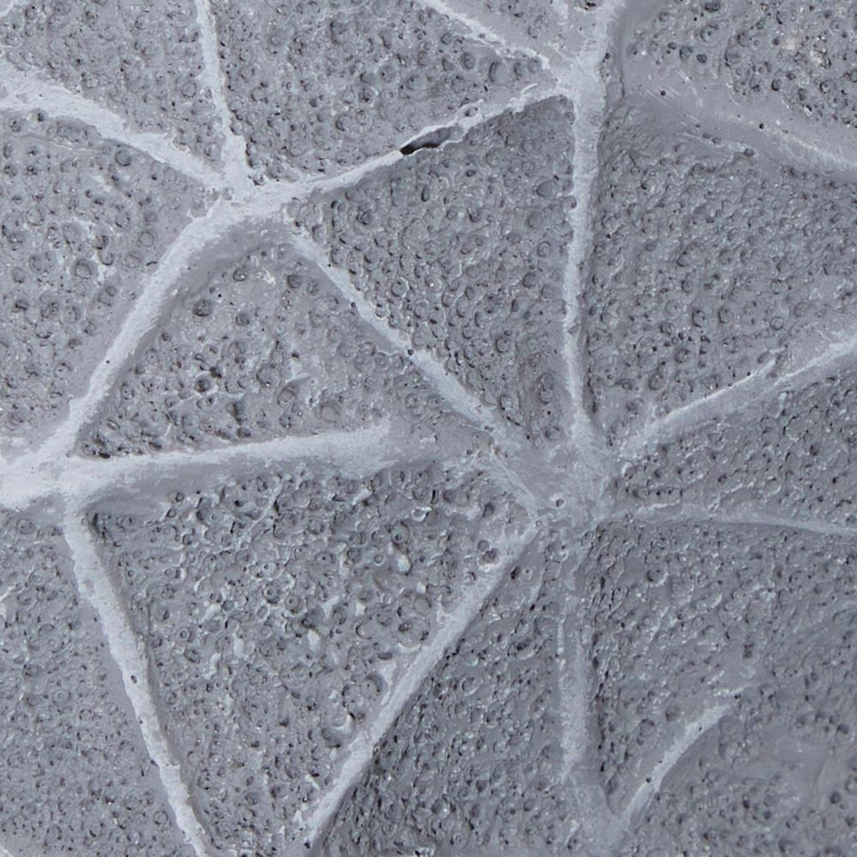 Gray Resin Starfish Wall Sculpture with Twisted Cord Accent