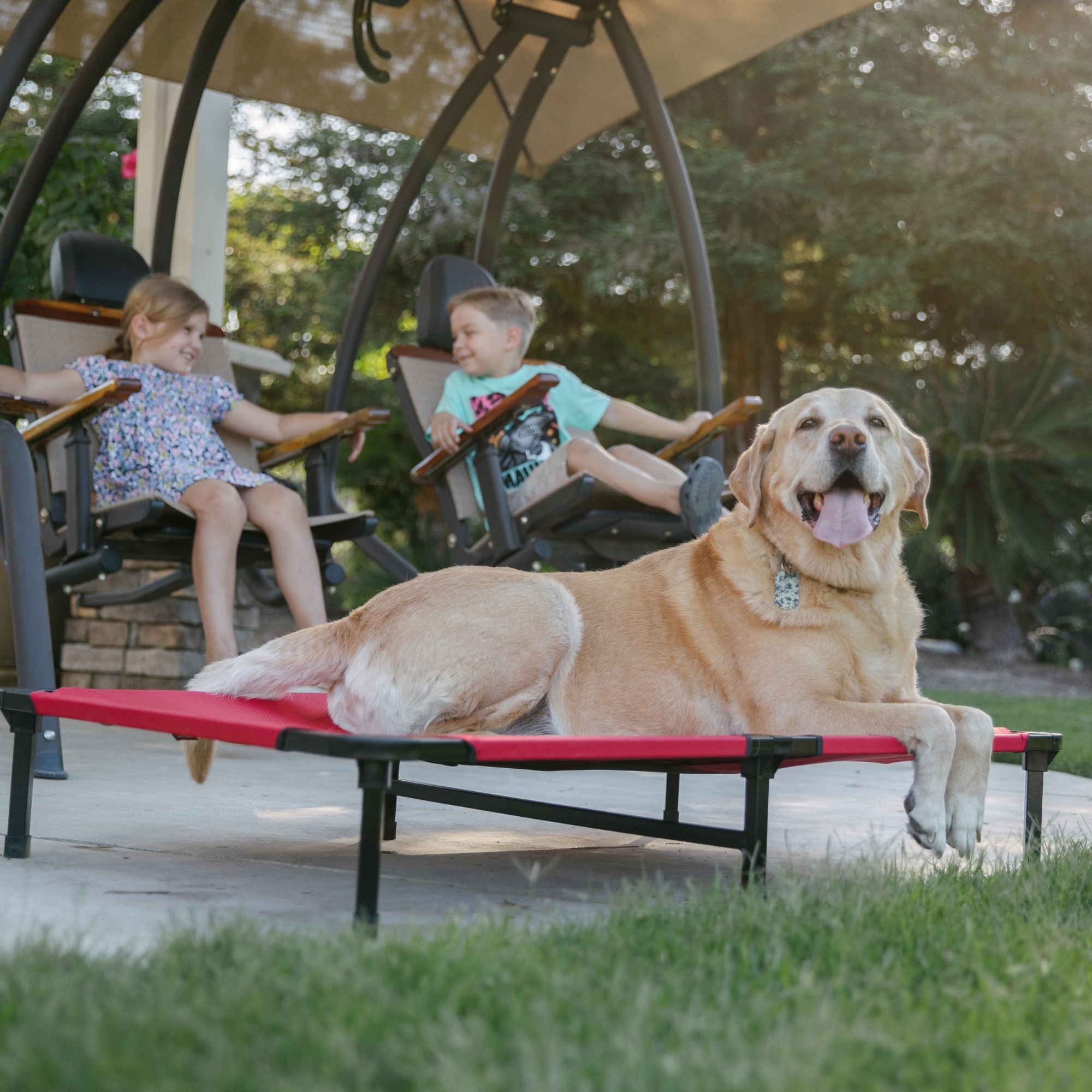 Lucky Dog CMB 10148 Pet-Beds - View #8