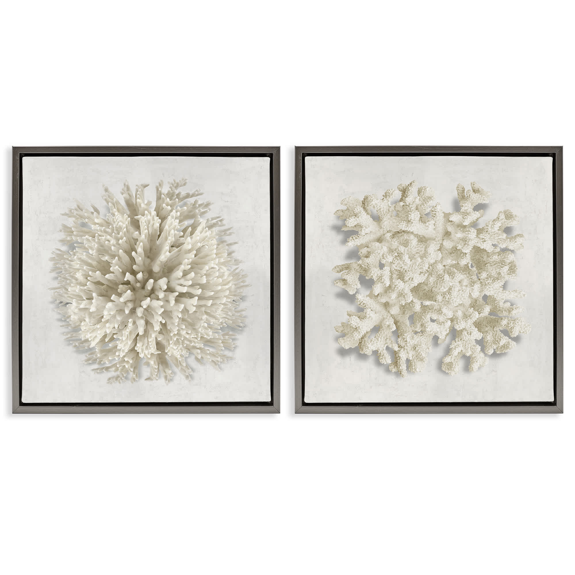 Stupell Industries B2-786-FFL-2PC-17X17 Distinct Natural Coral 2 Piece Gray Framed Floater Canvas Set By Caroline Kelly 18 x 18