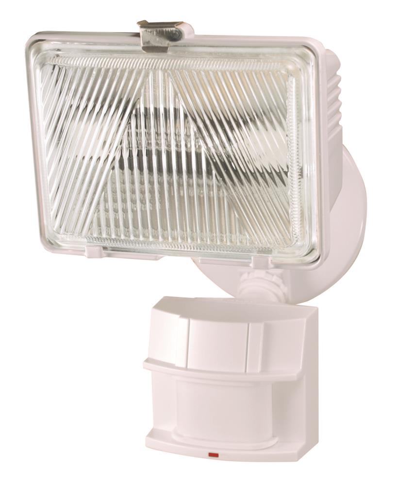 zenith flood light