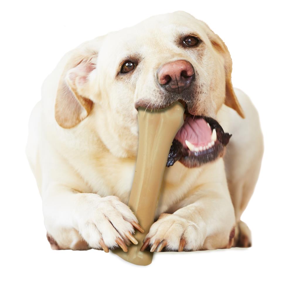 are nylabones safe is dog eats them