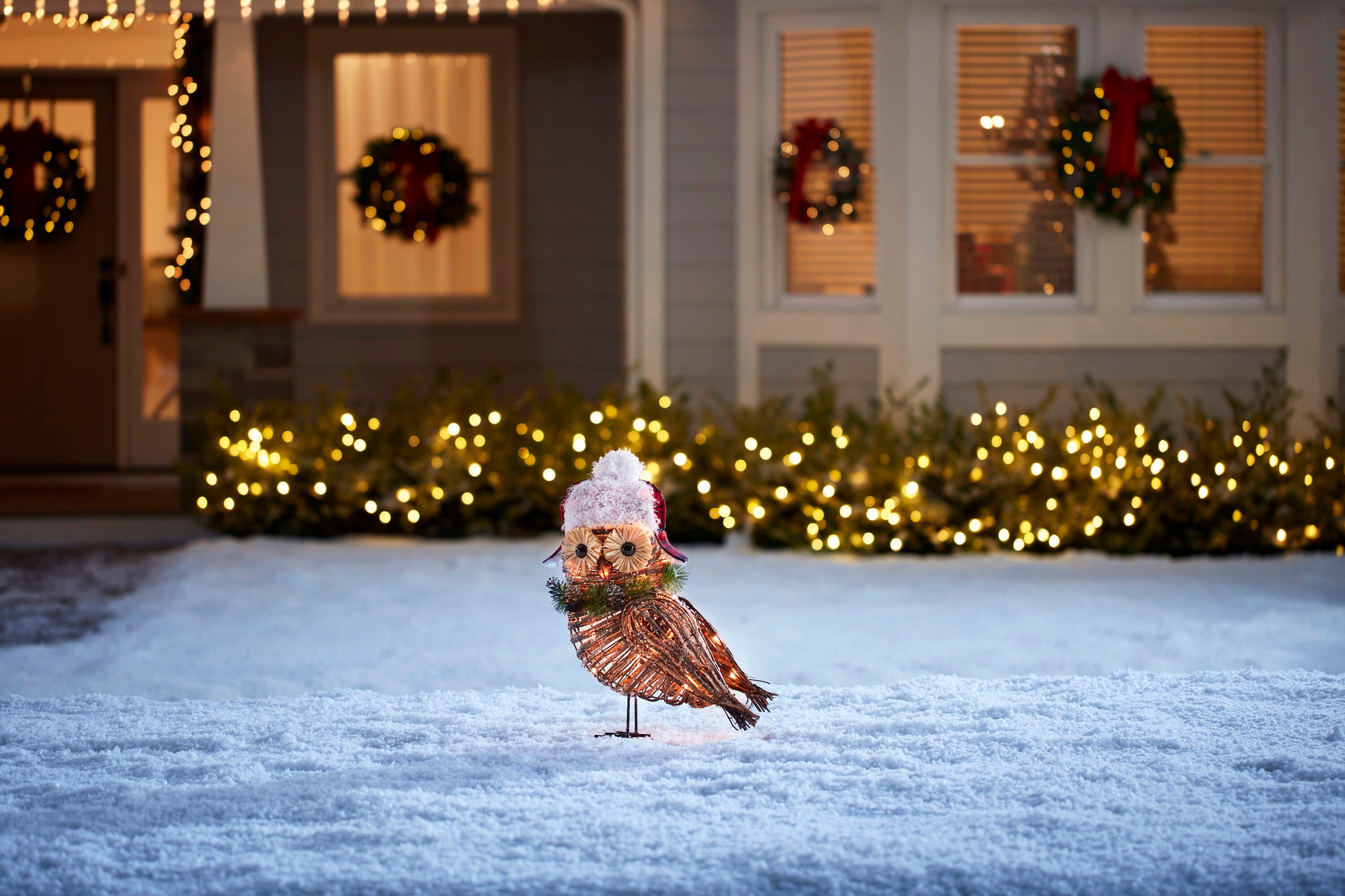 Winter Wonderland Holiday Doormat – Urban Owl