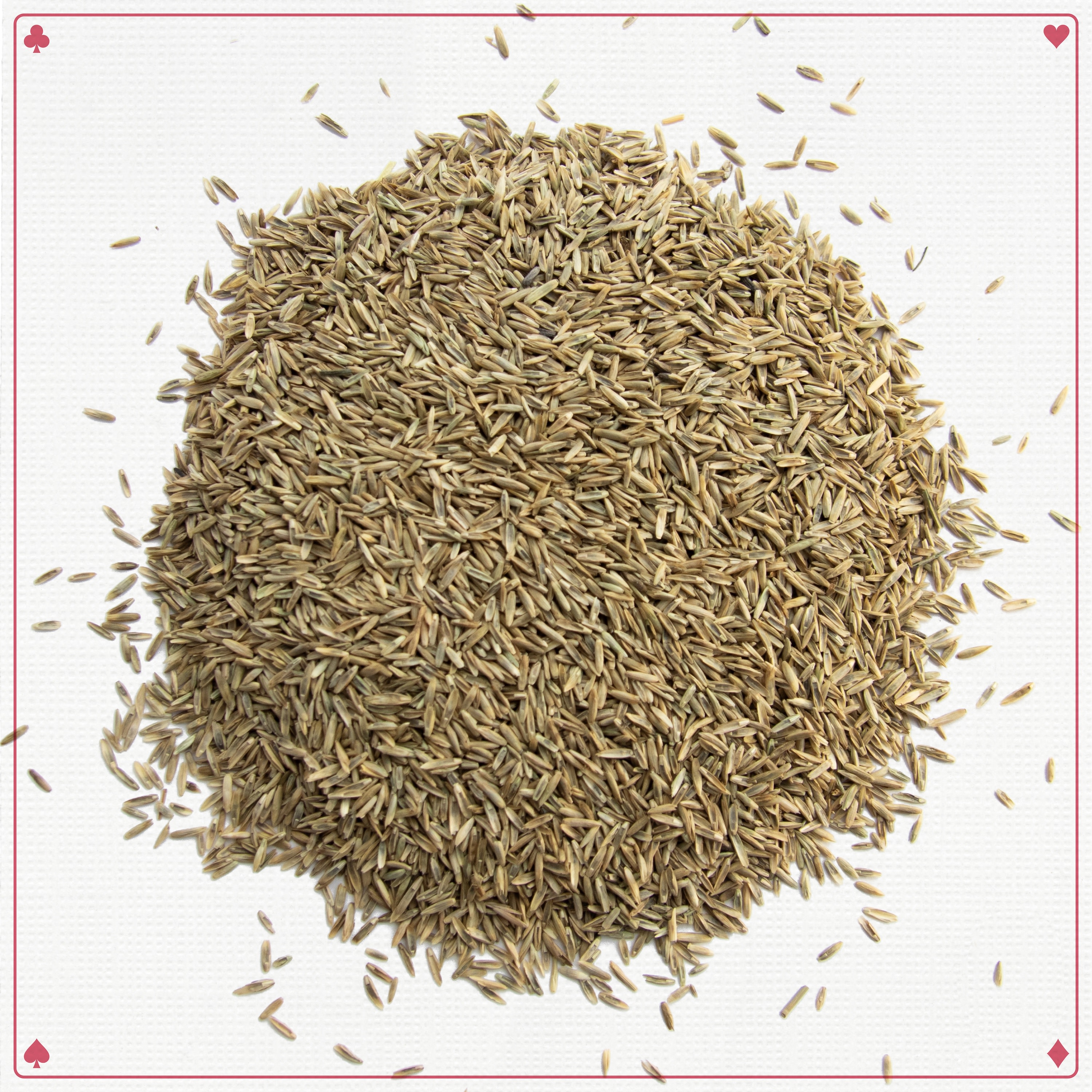 Pennington 100082690 Grass-Seed - View #9