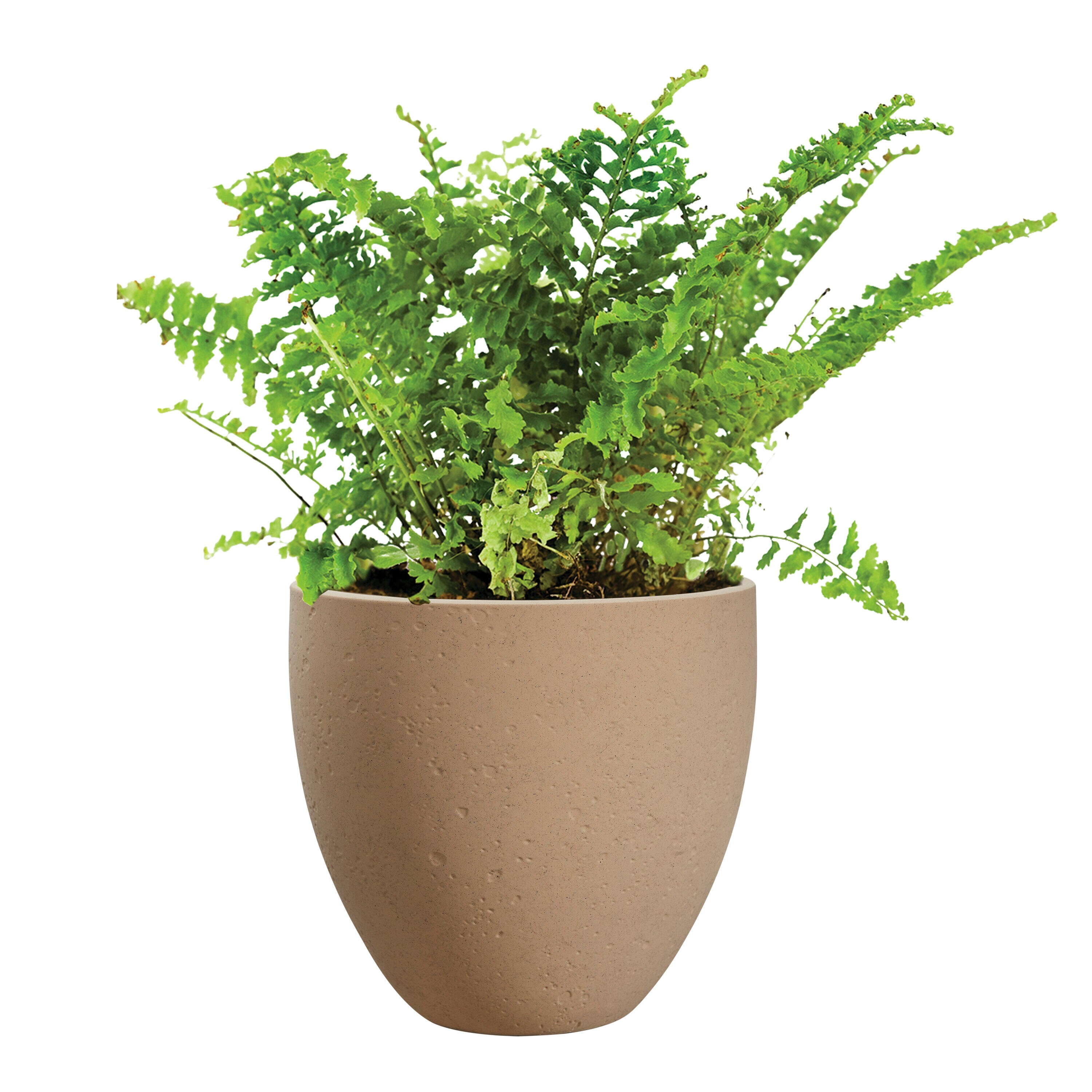 allen + roth UT897811 Planter-Window-Box - View #11