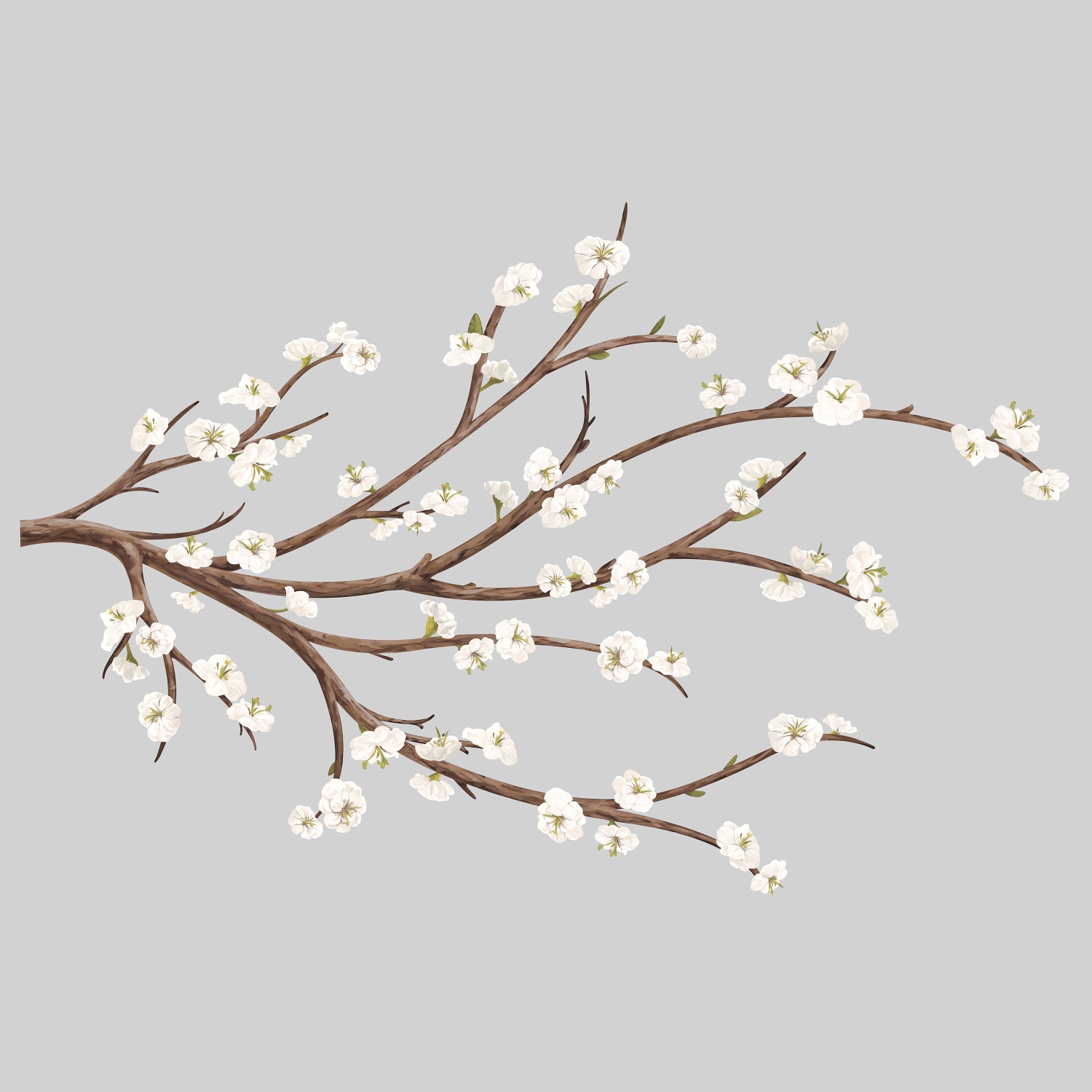 Elegant White Blossom Branch 31-Piece Wall Decal Set with 3D Flowers