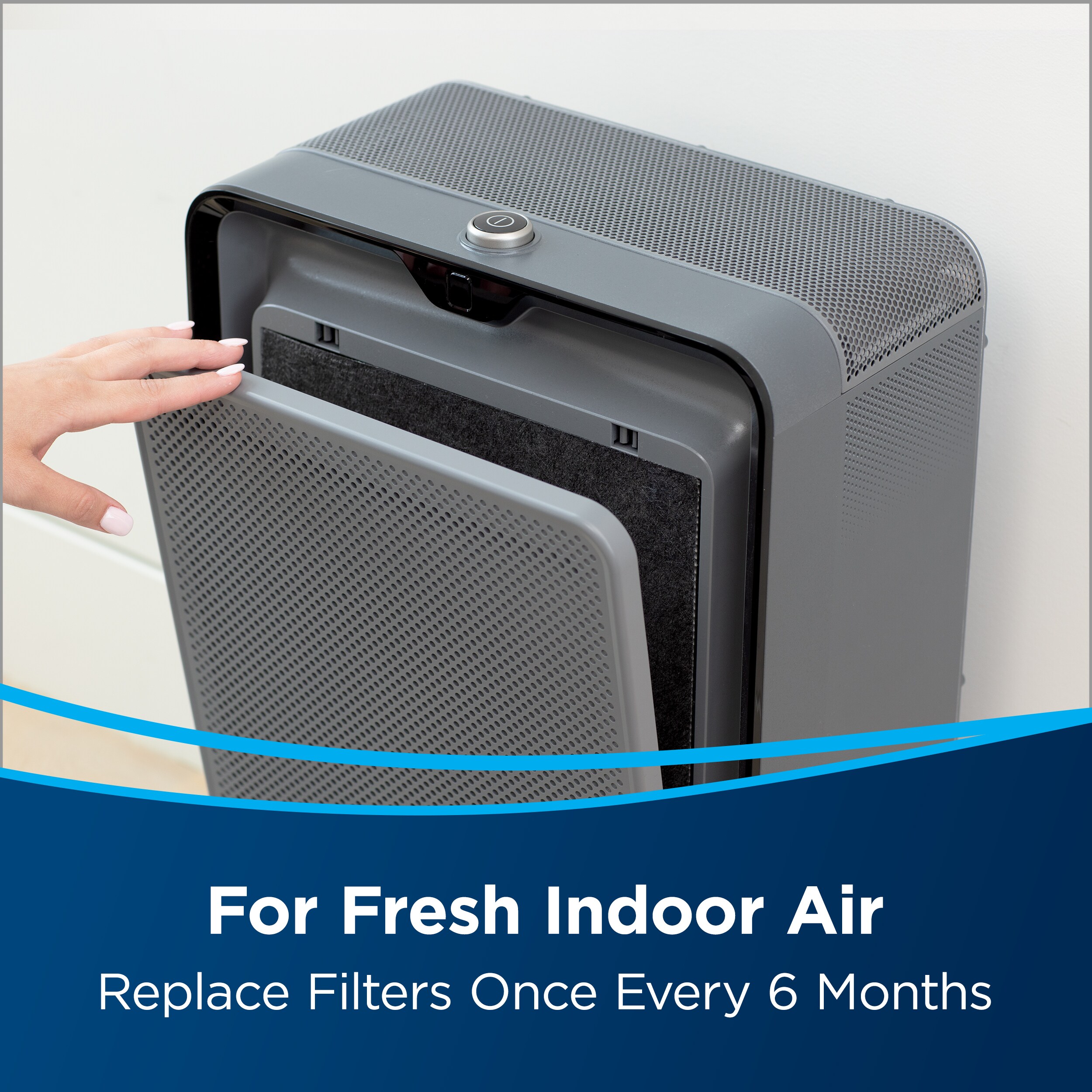 Bissell air clearance purifier filter replacement