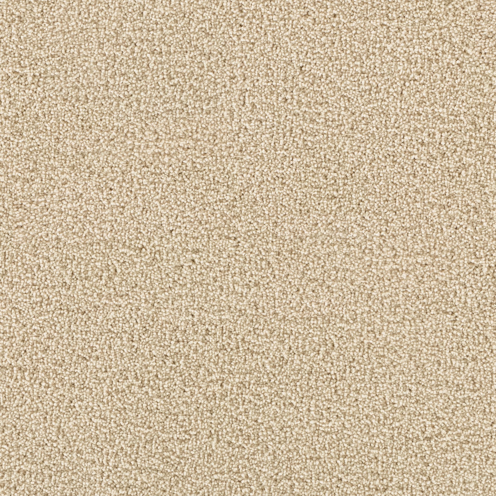 STAINMASTER STP43-12-L004 Soothing space I Silk Canvas Off-white 45-oz sq yard Polyester Textured Indoor Carpet